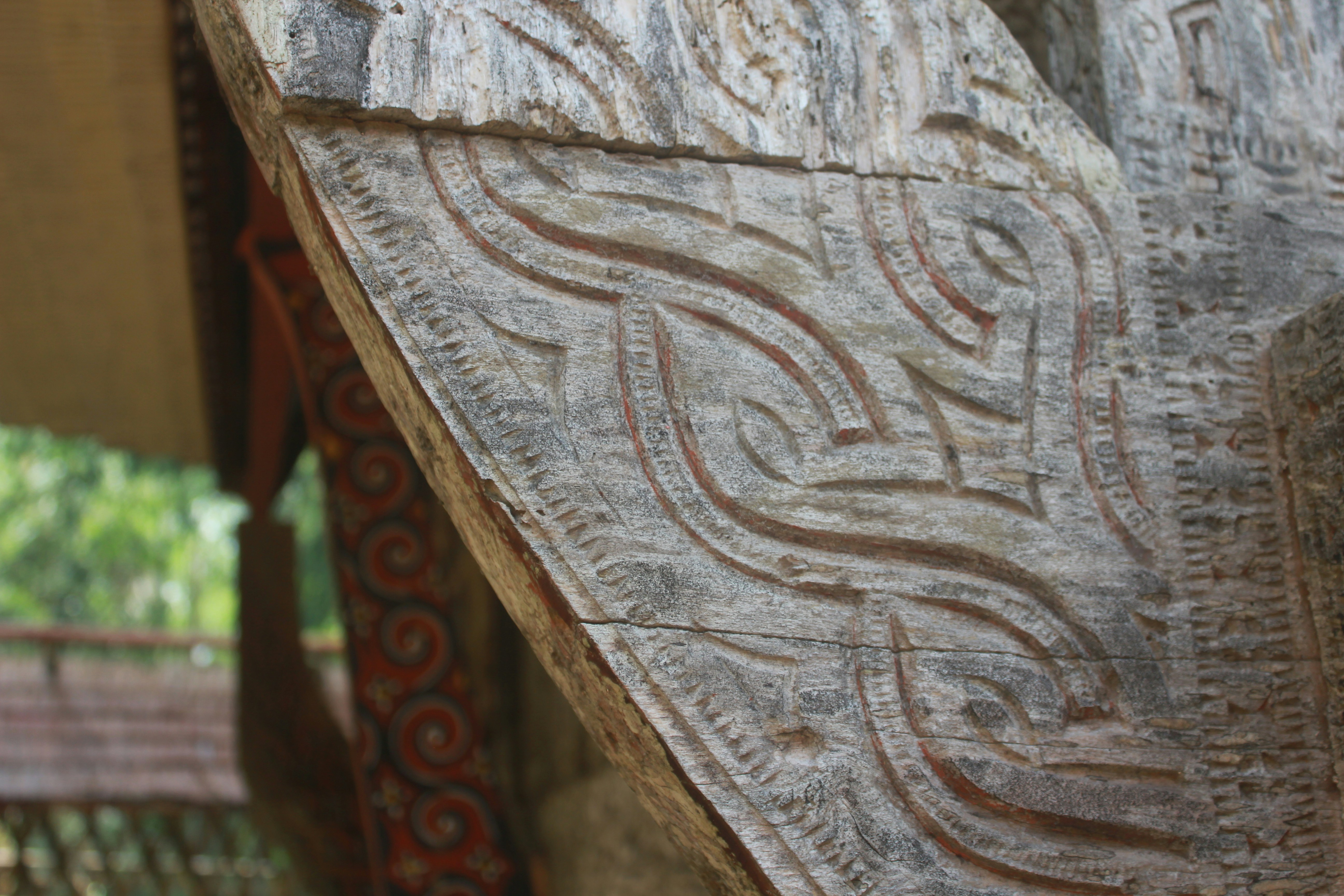 Free Unsplash photo from Novianto Arung Tinting