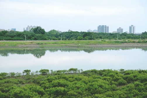 A serene landscape depicting financial growth and prosperity.