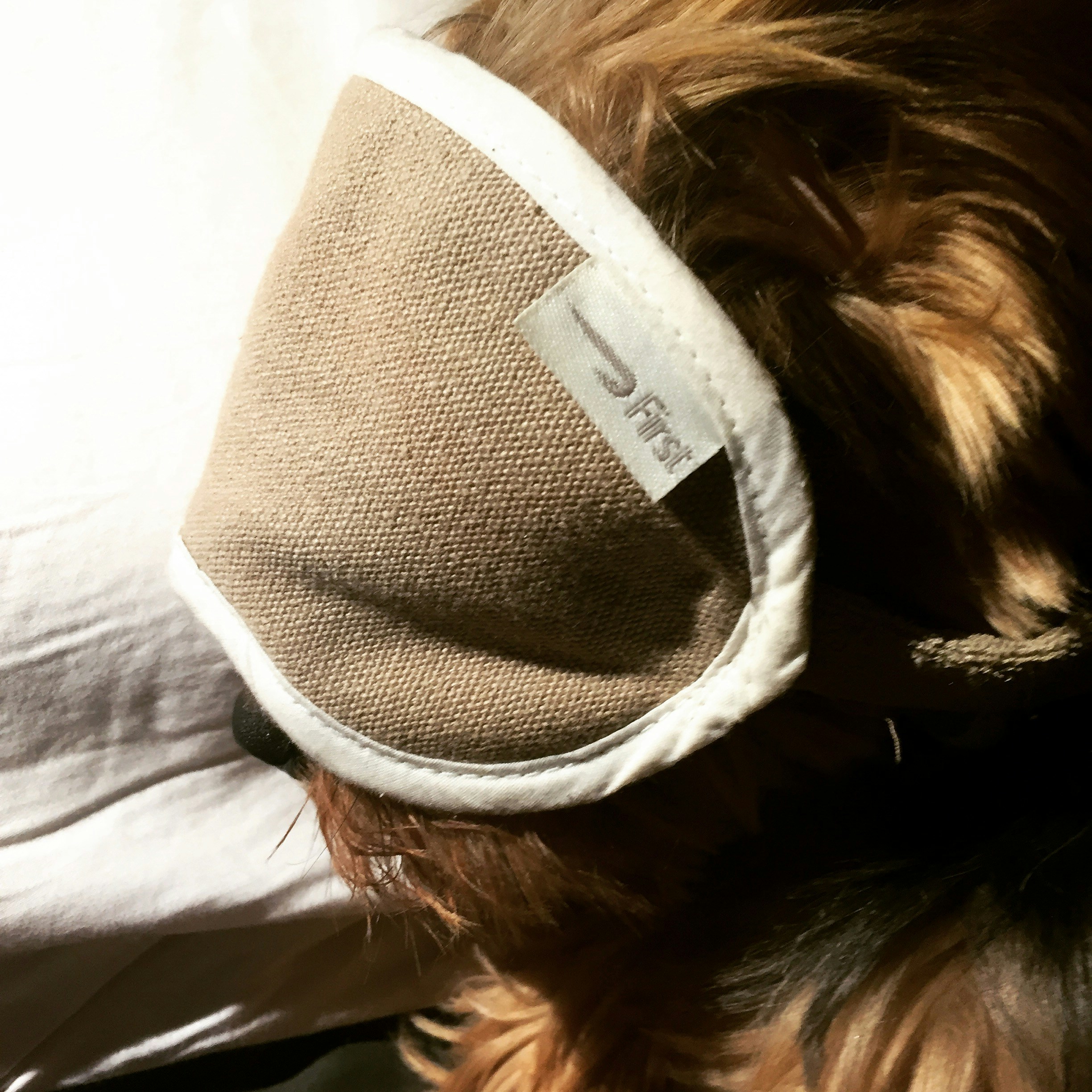 Free Unsplash photo from Janel Blattler