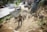 A person herds a group of goats up a dusty slope near a farm. The scene is set in rural surroundings with a building, trees, and various farm equipment in the background. The person is wearing a green hat and is guiding the animals with a stick as they navigate the earthy terrain.