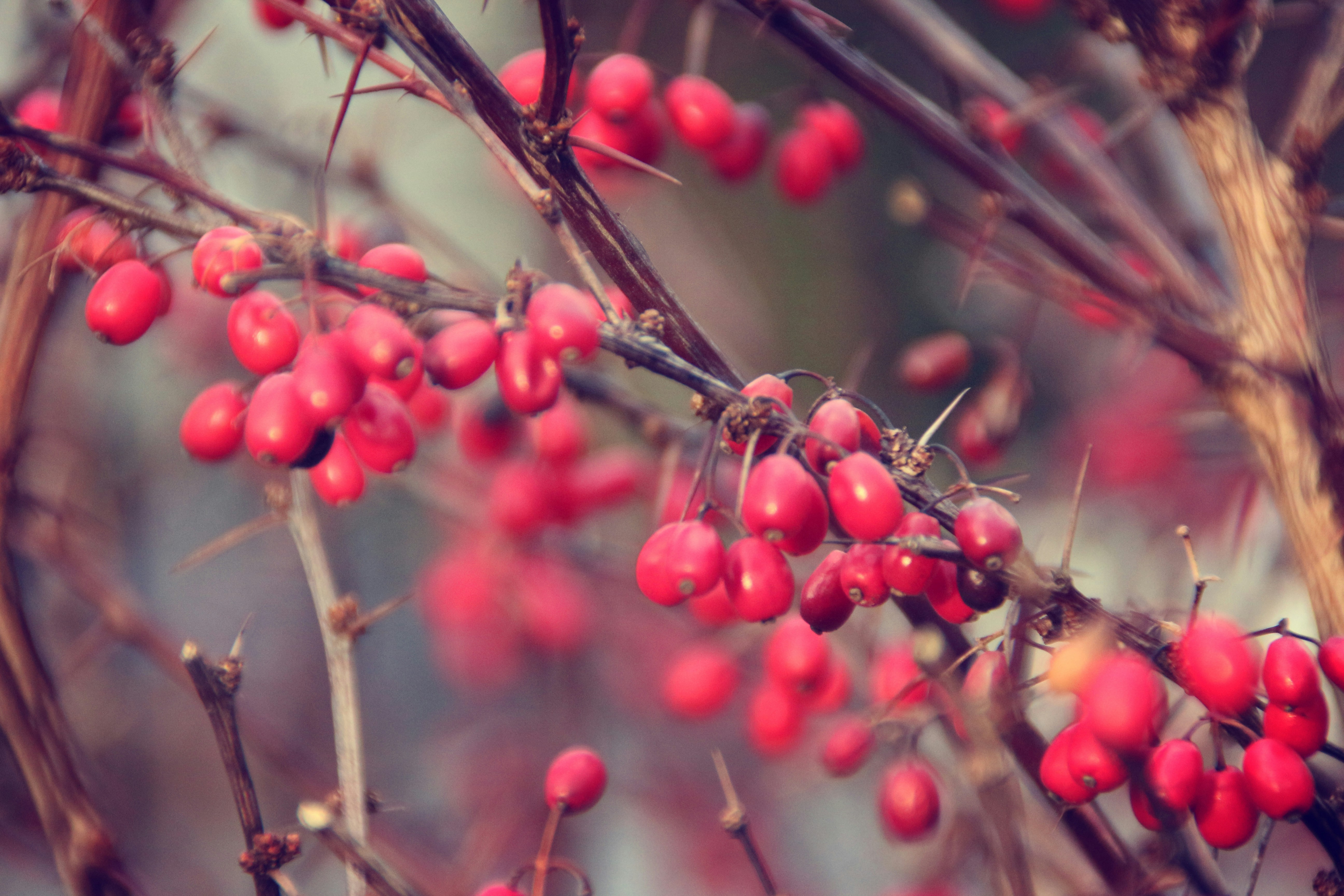 Free Unsplash photo from PDB