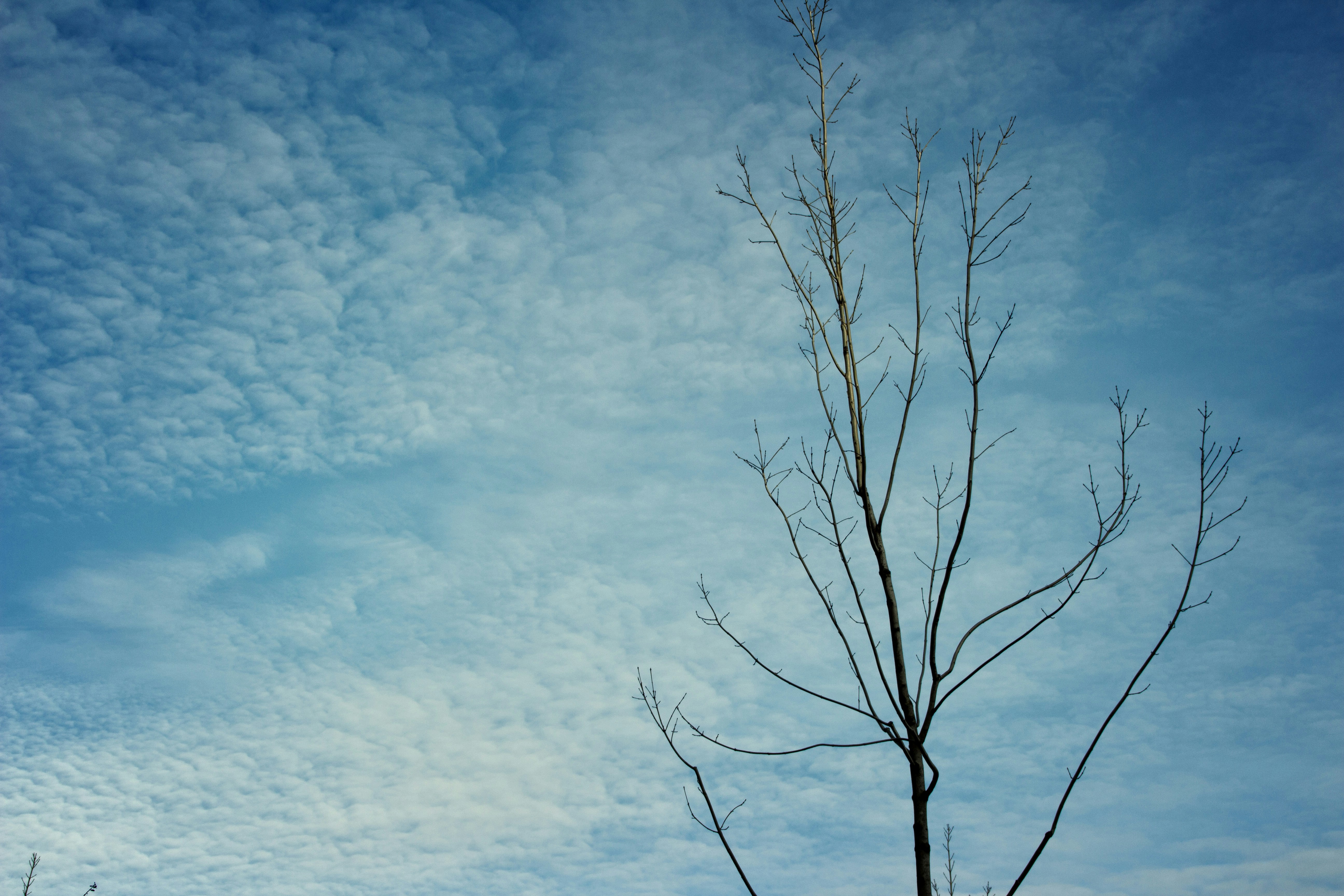 Free Unsplash photo from PDB