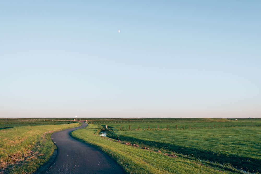 road between green grass under blue sky at daytime