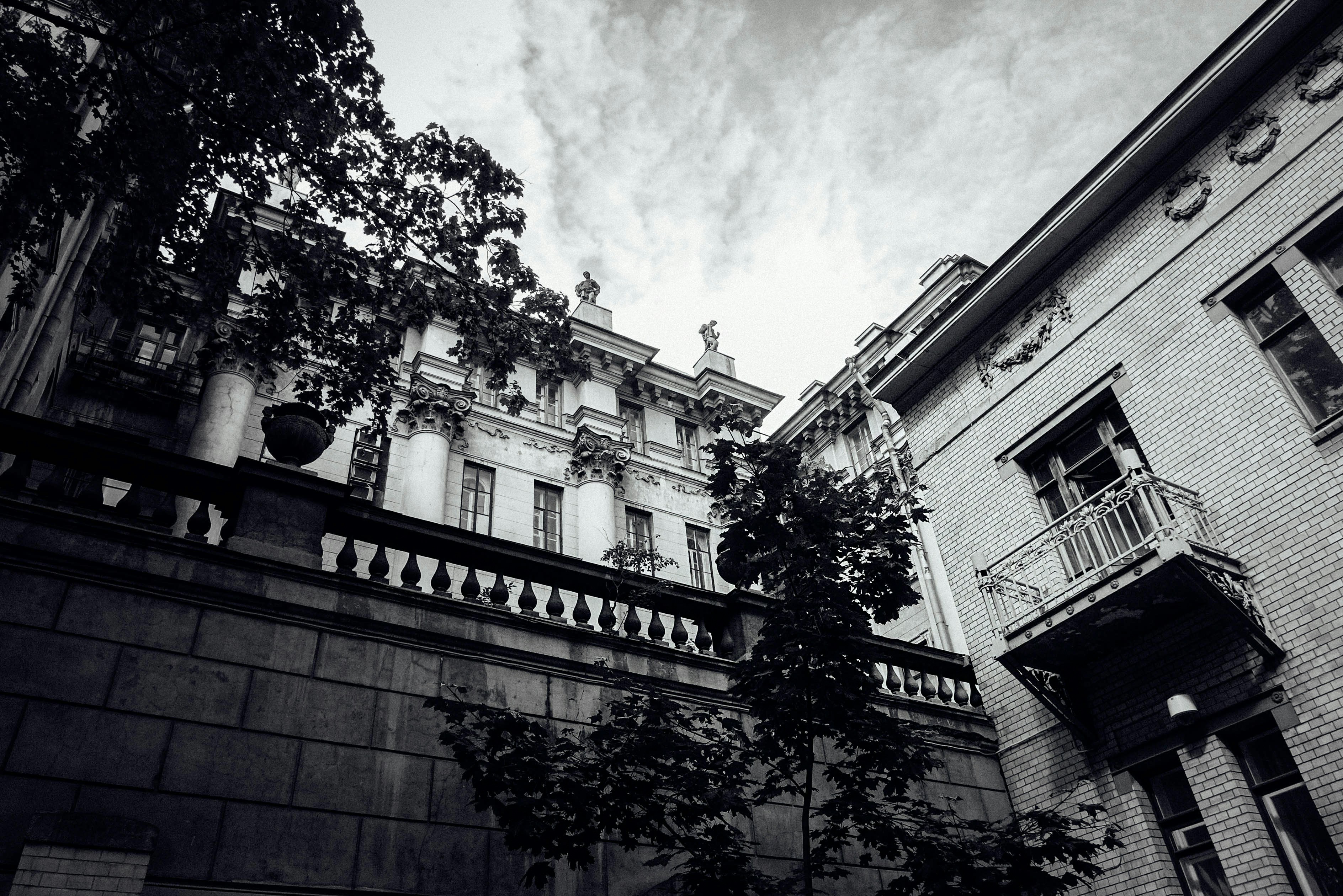 Free Unsplash photo from Shtora Tulpanchik