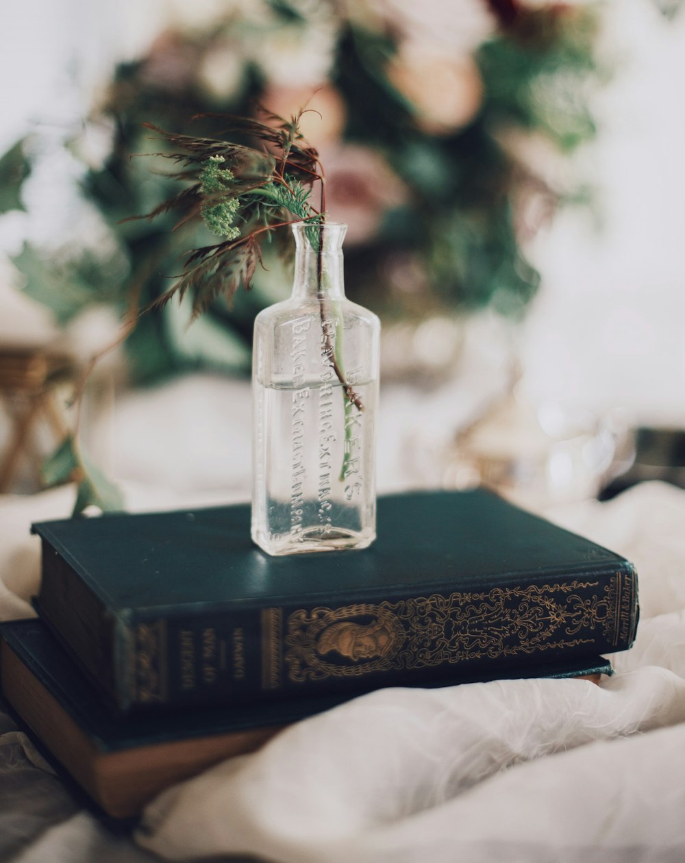 Selektive Fokusfotografie einer grünblättrigen Pflanze auf einer Glasflasche