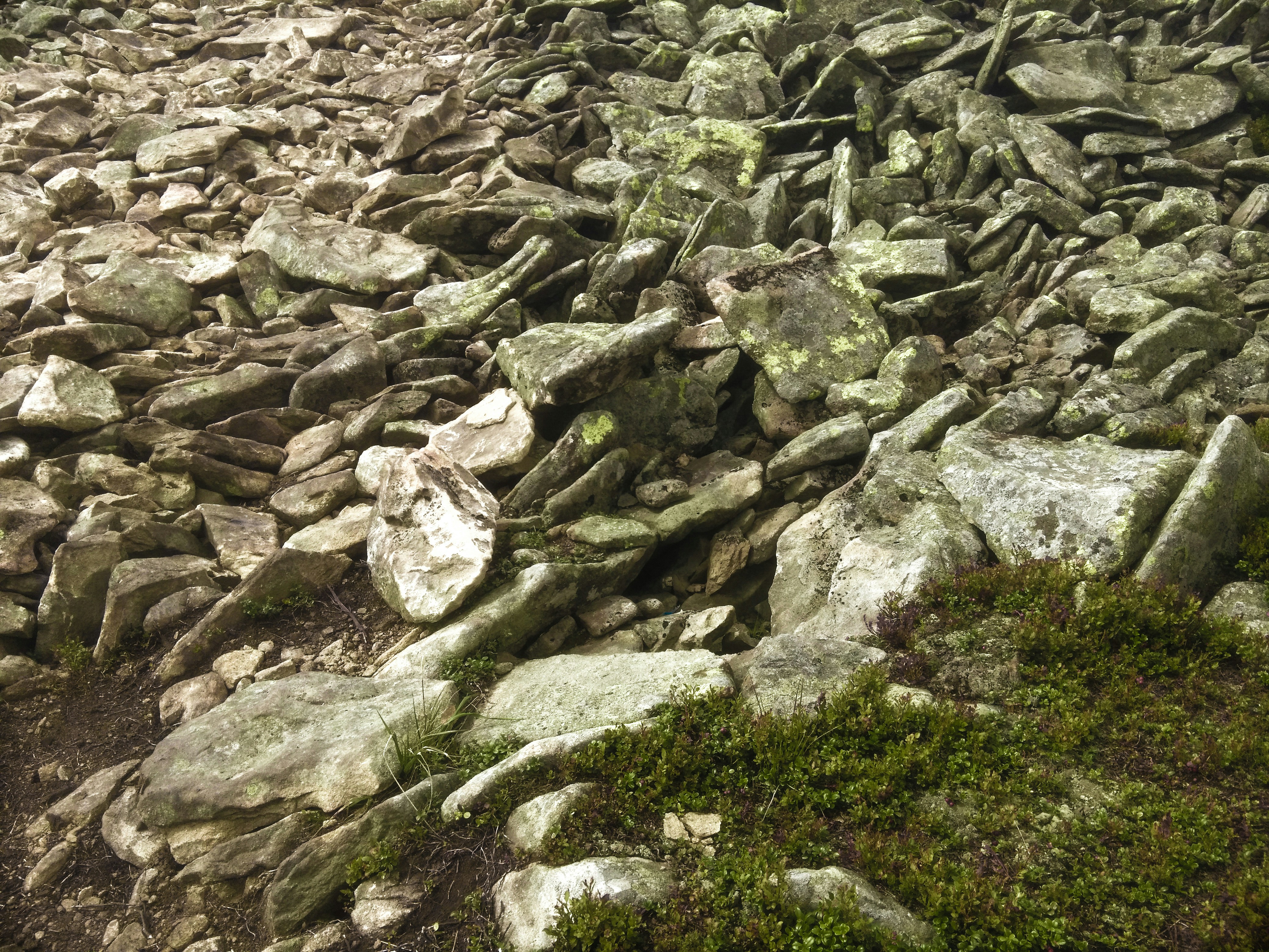 Free Unsplash photo from Romko Shukel