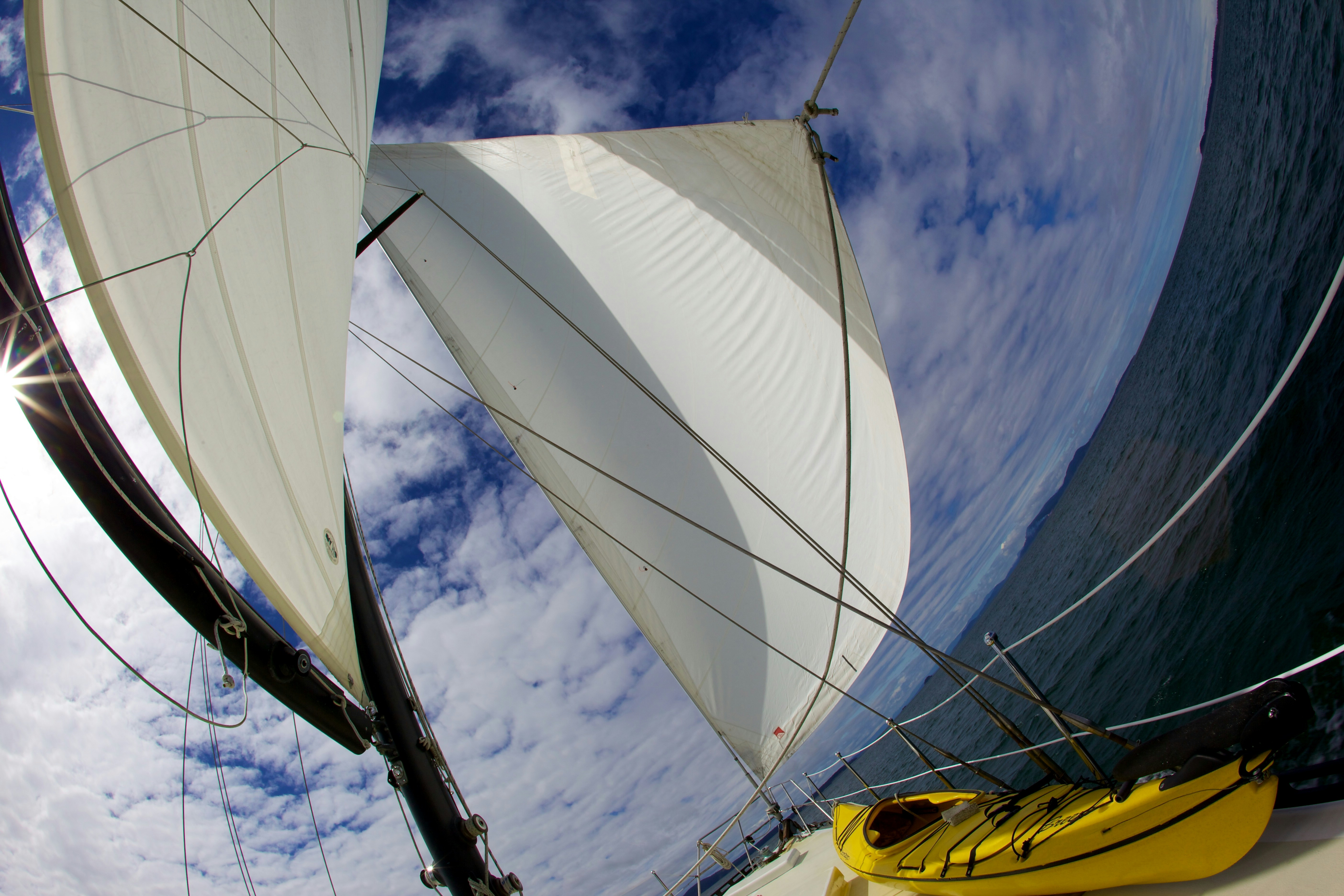 Free Unsplash photo from Linda Anne Brown