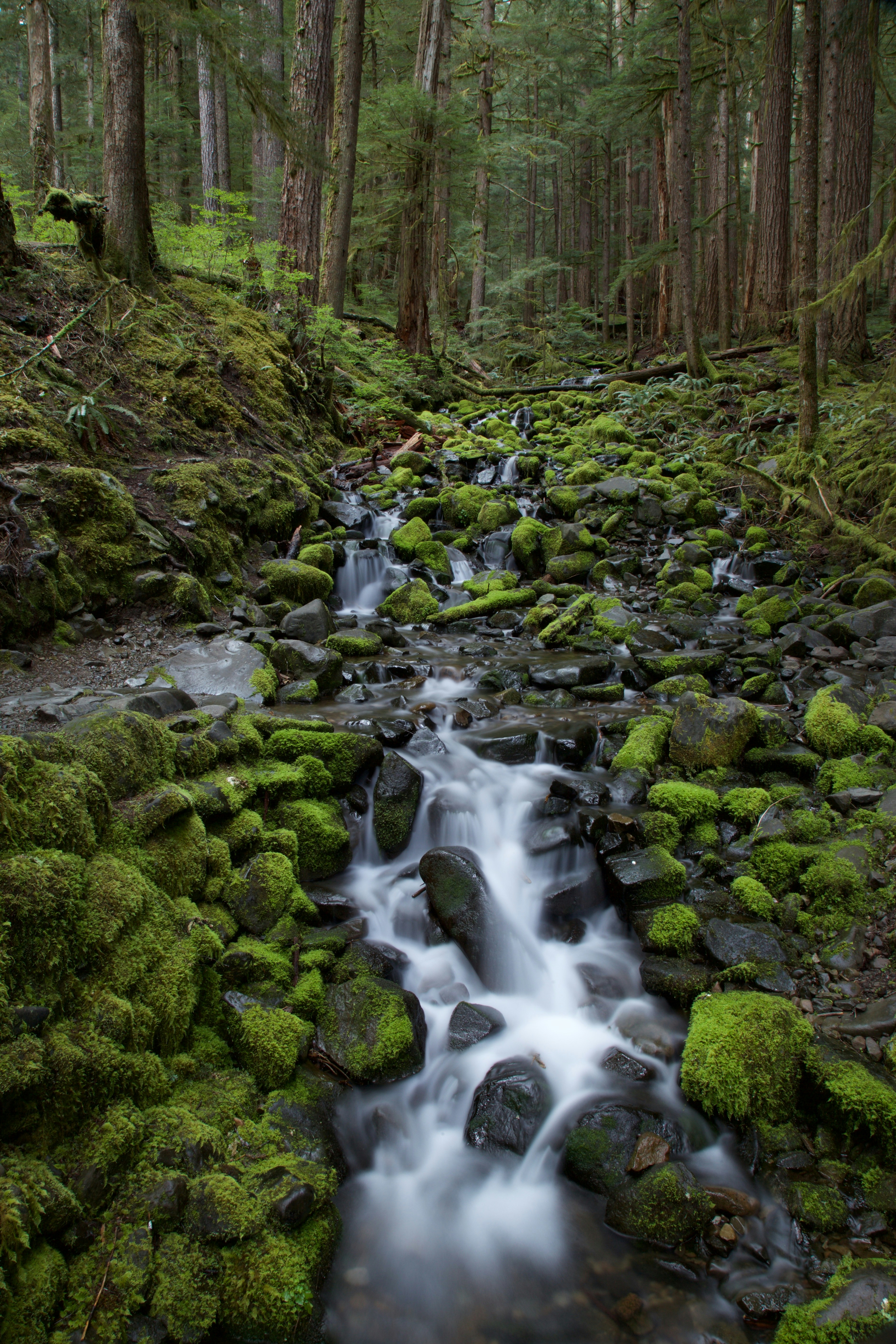 Free Unsplash photo from Linda Anne Brown