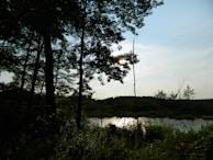 A serene outdoor scene showing Julio capturing inspiration in nature.