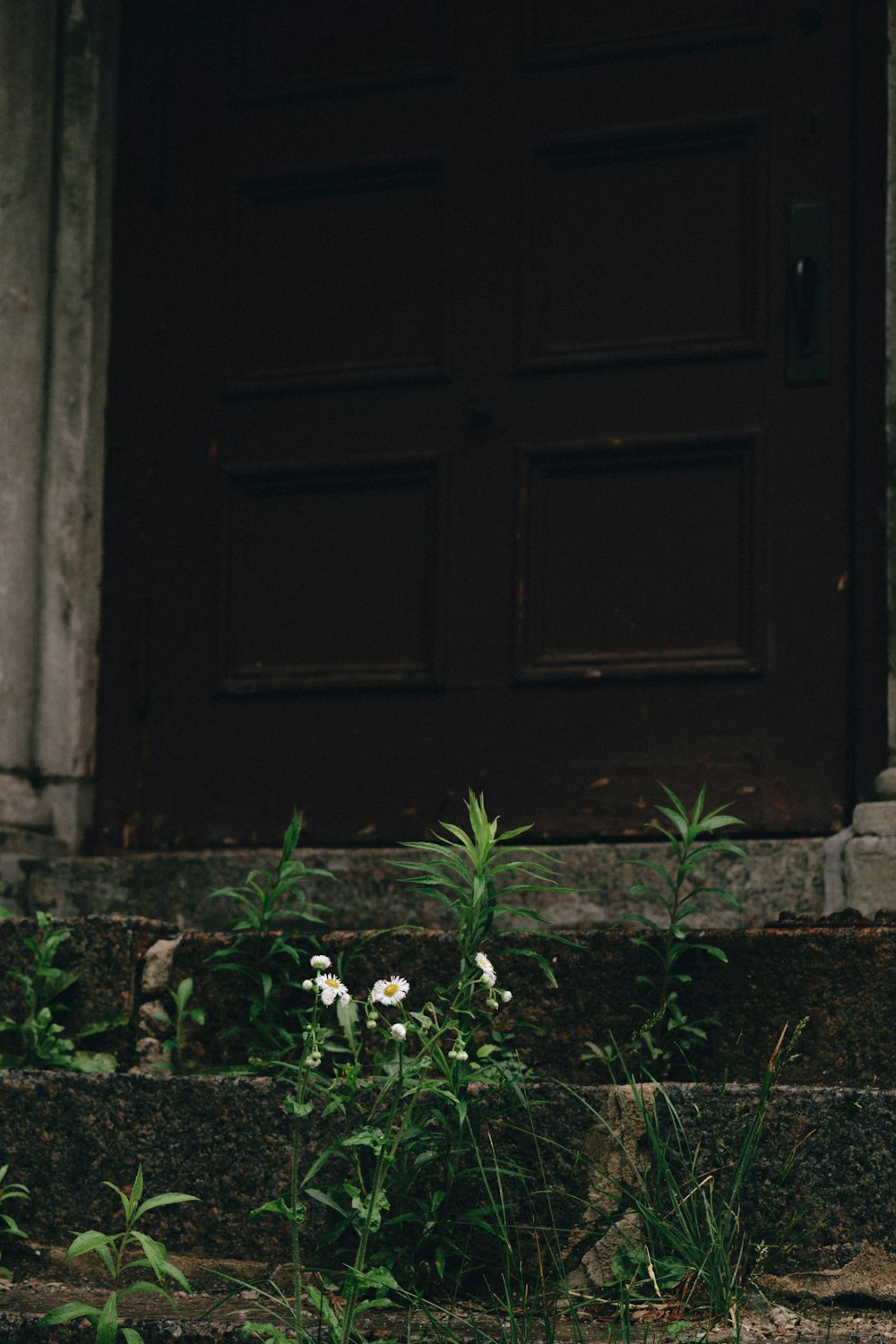 brown wooden door on gray concrete wall