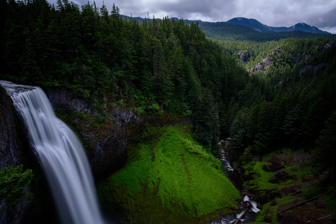 reel view of waterfalls