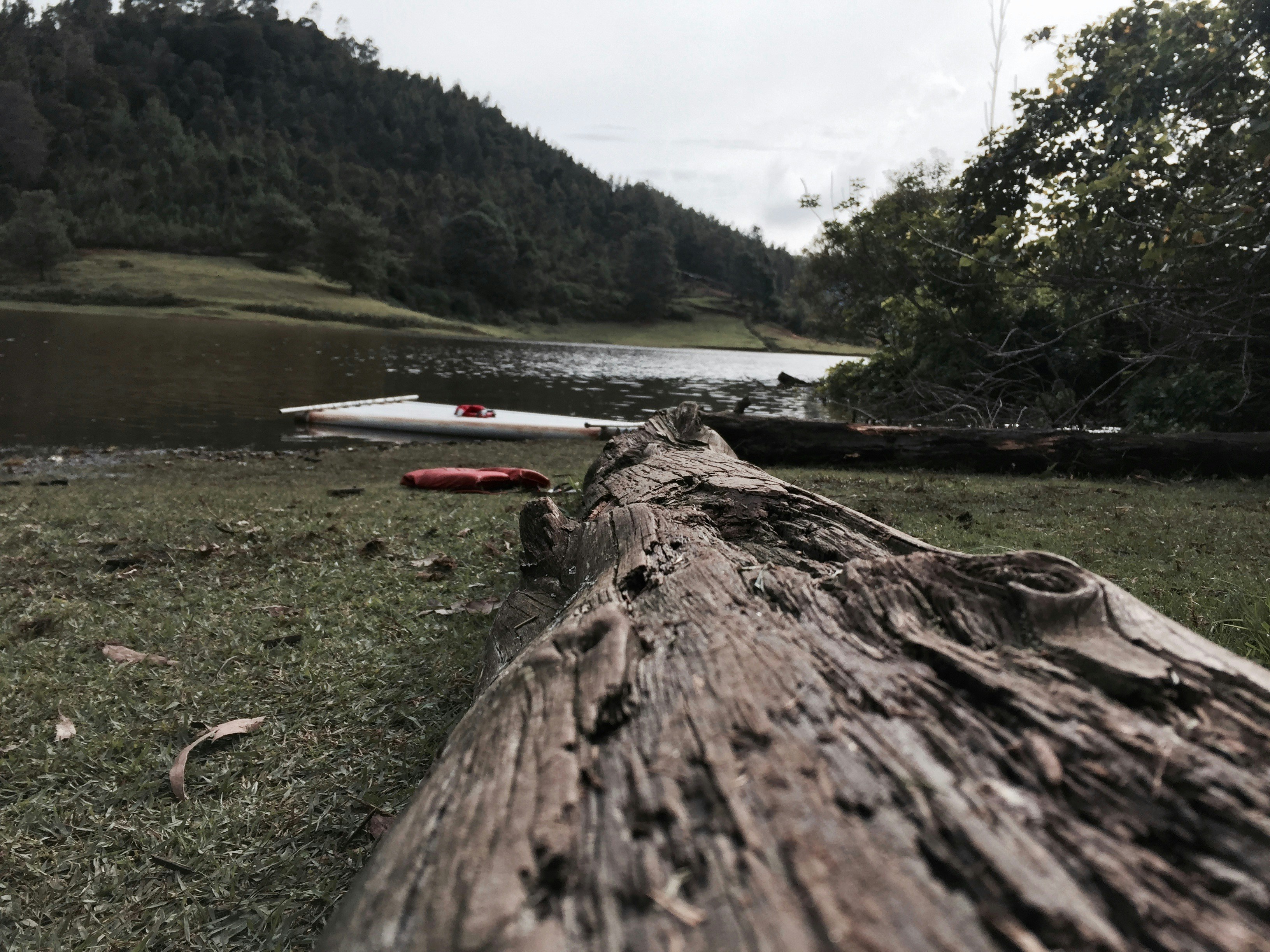 Free Unsplash photo from Minimal  Saint