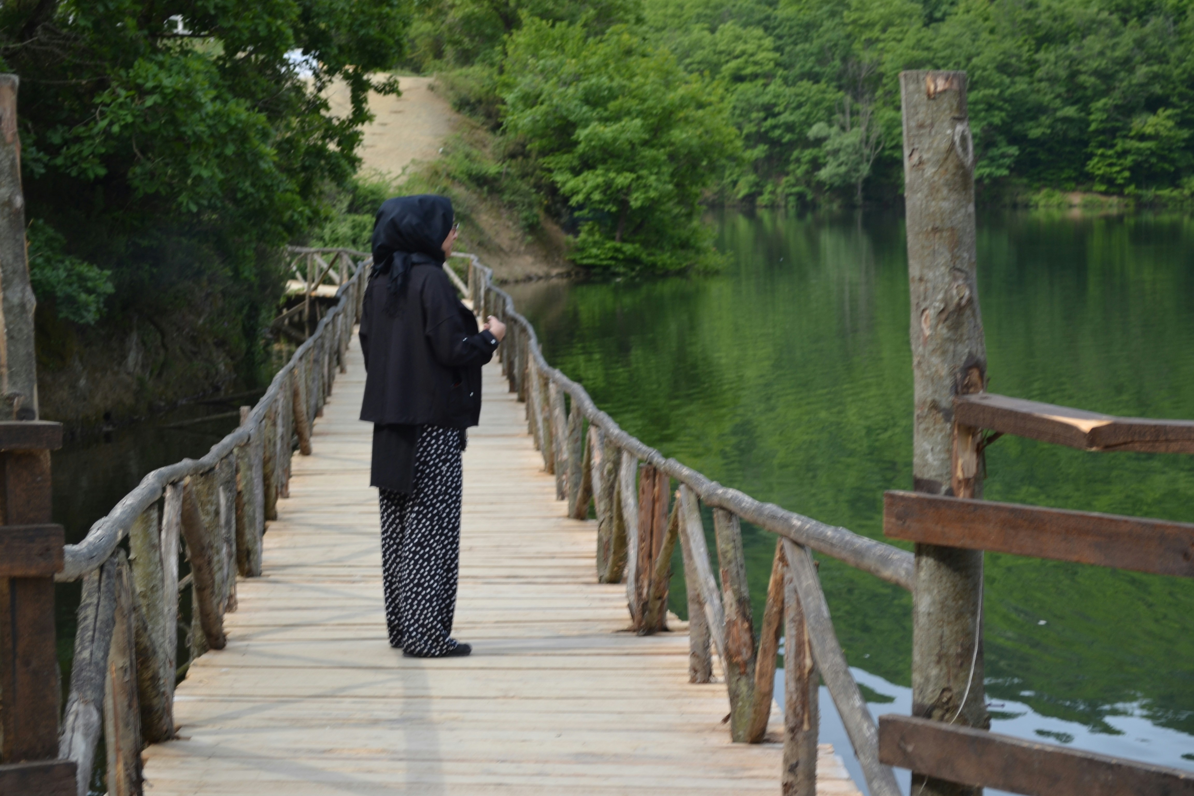 Free Unsplash photo from Büşra Kaya