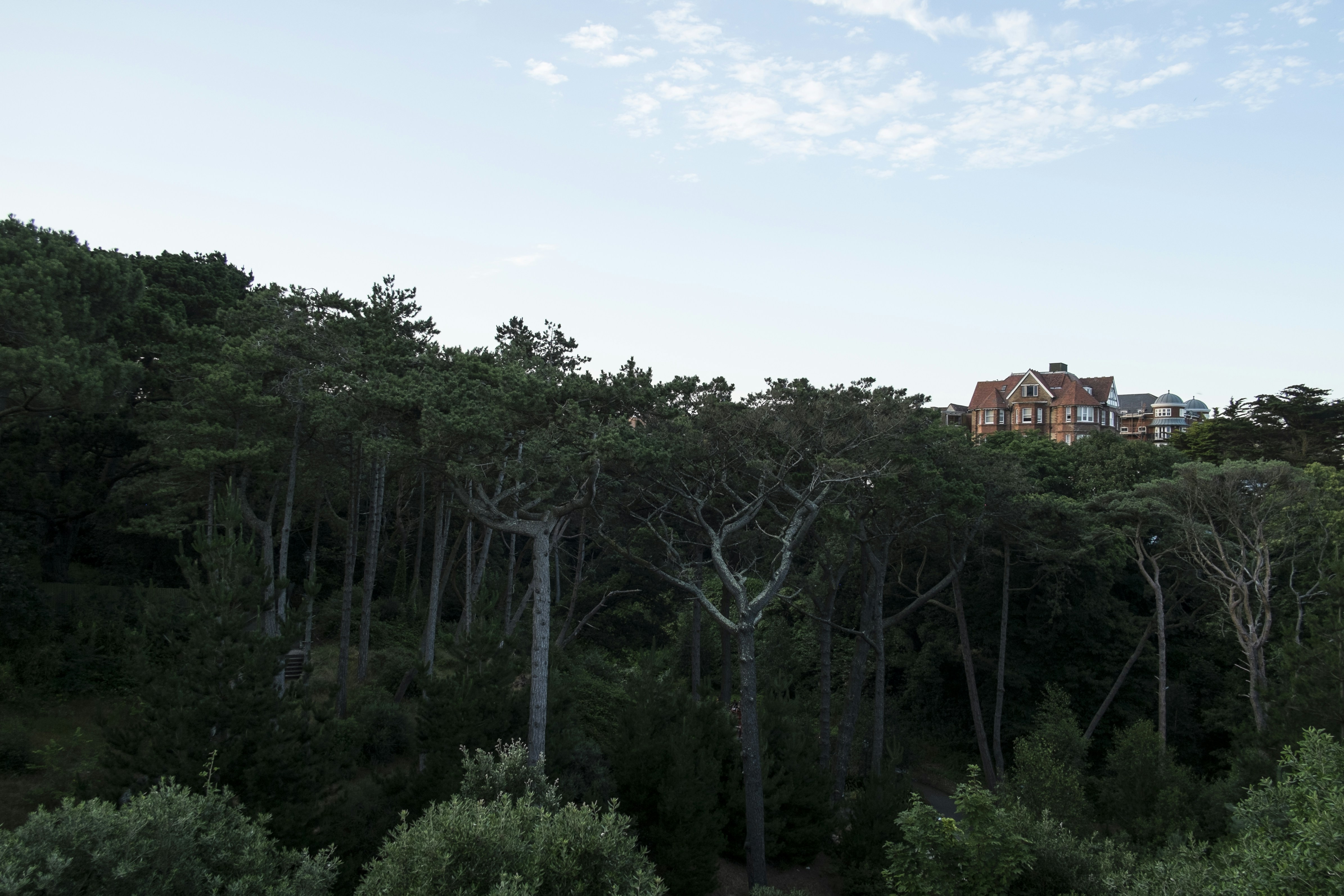 Free Unsplash photo from Frode Myklebust