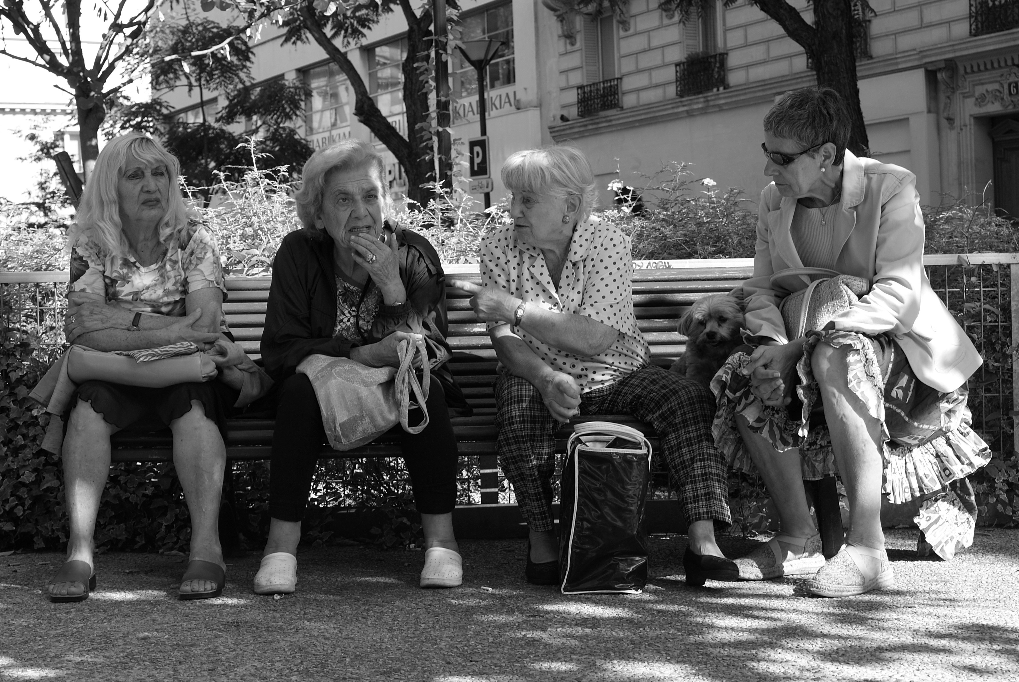 Free Unsplash photo from Peter Wendt