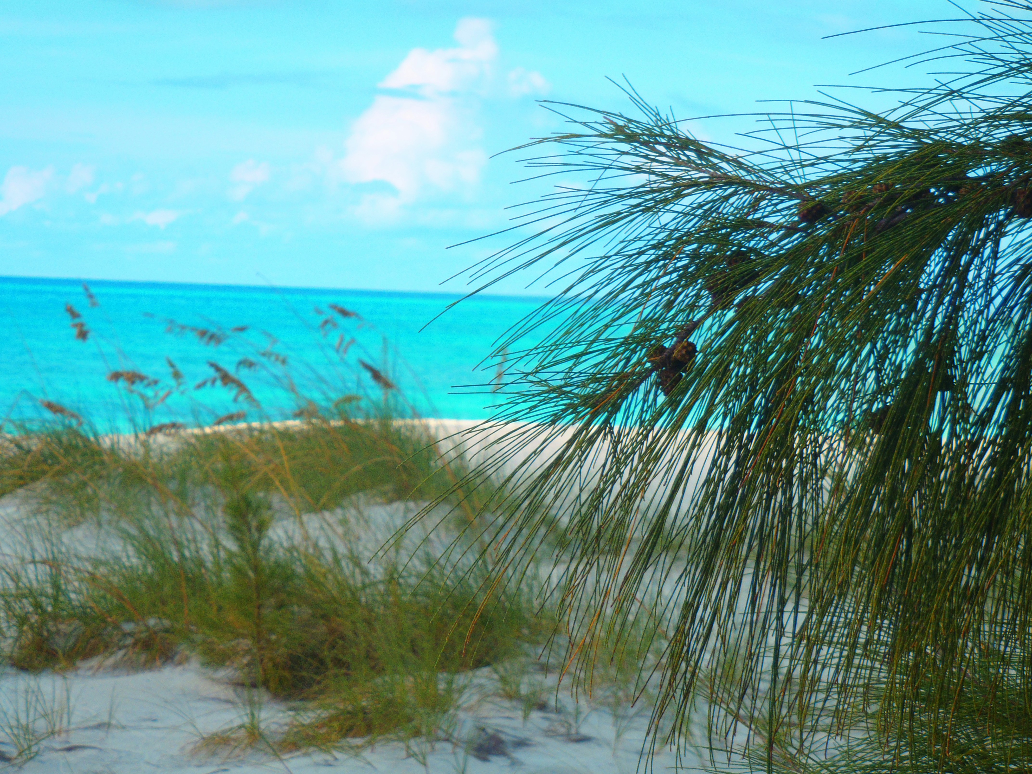 Free Unsplash photo from Candice Hoy