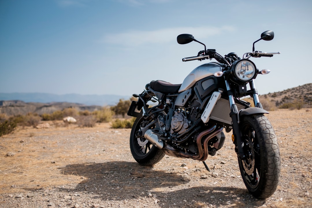 black cruiser motorcycle on soil