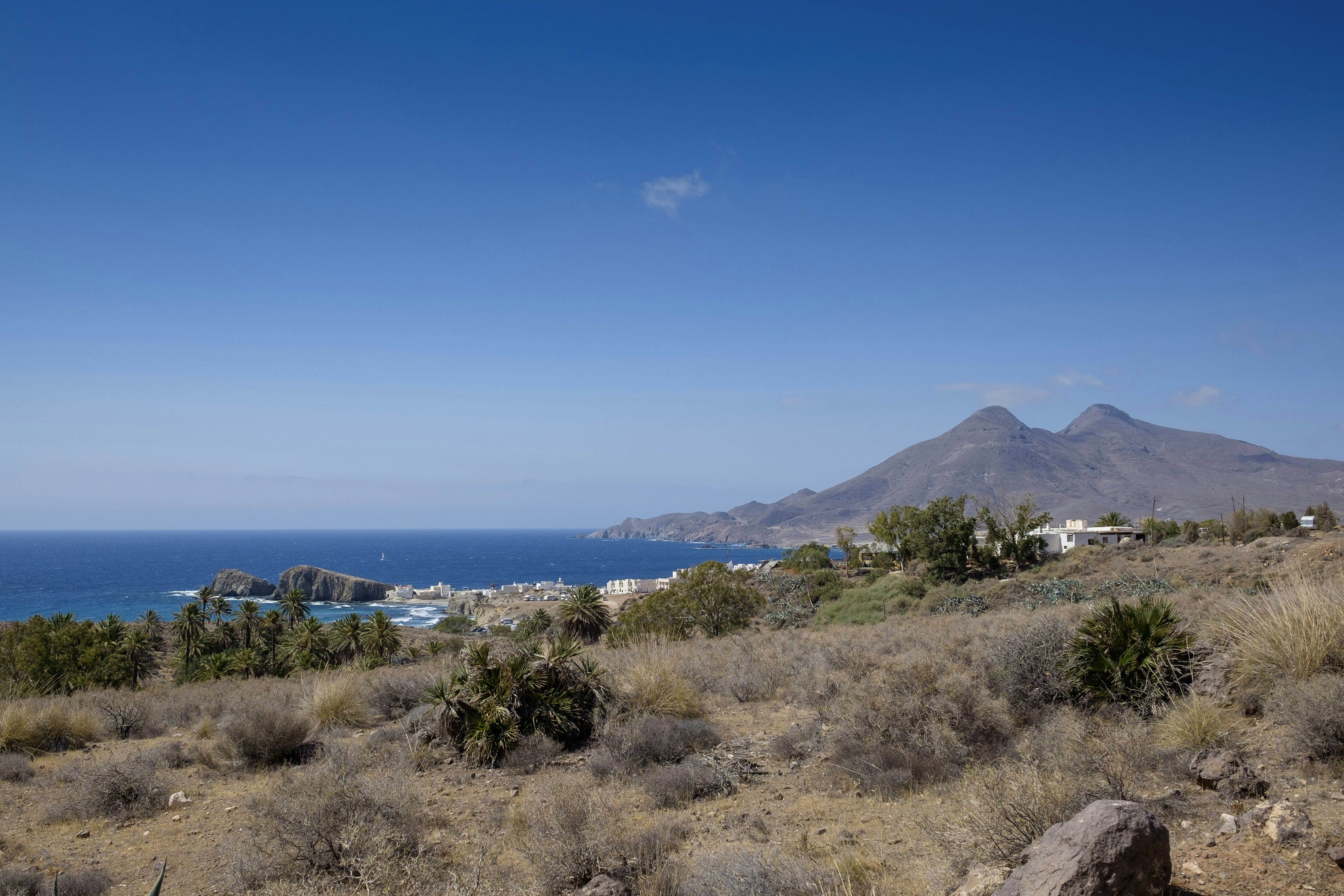 Free Unsplash photo from Francisco Requena