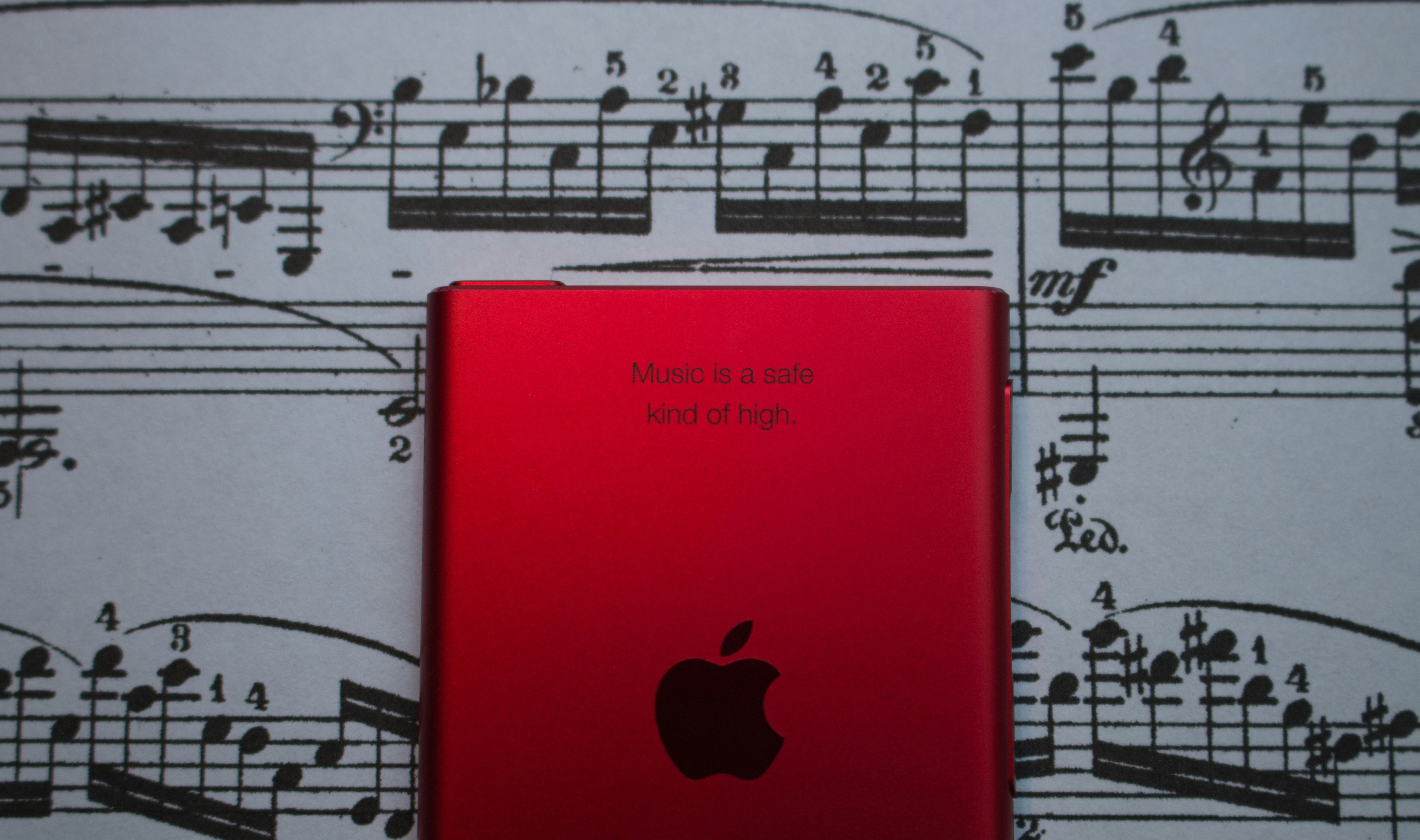 Free Unsplash photo from Nick Saxby