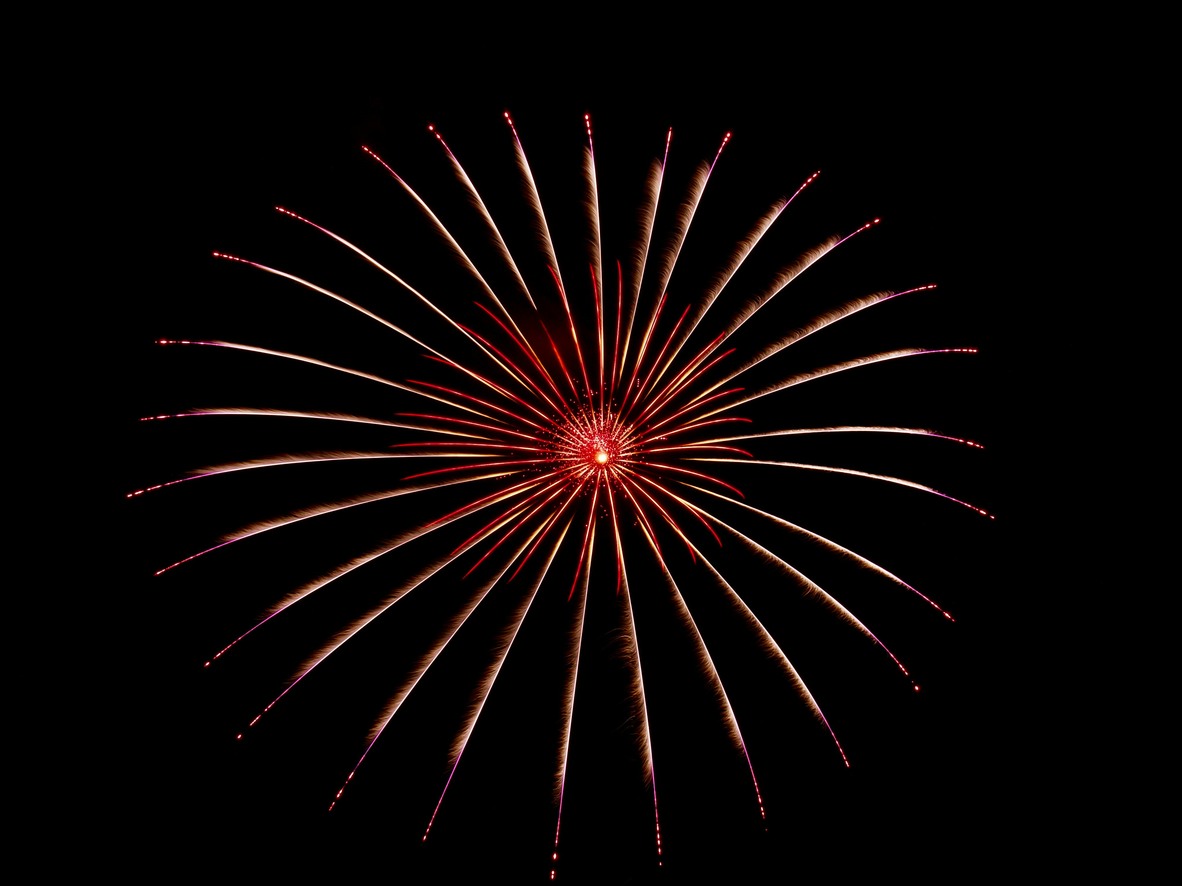 Free Unsplash photo from Bhupendra Singh