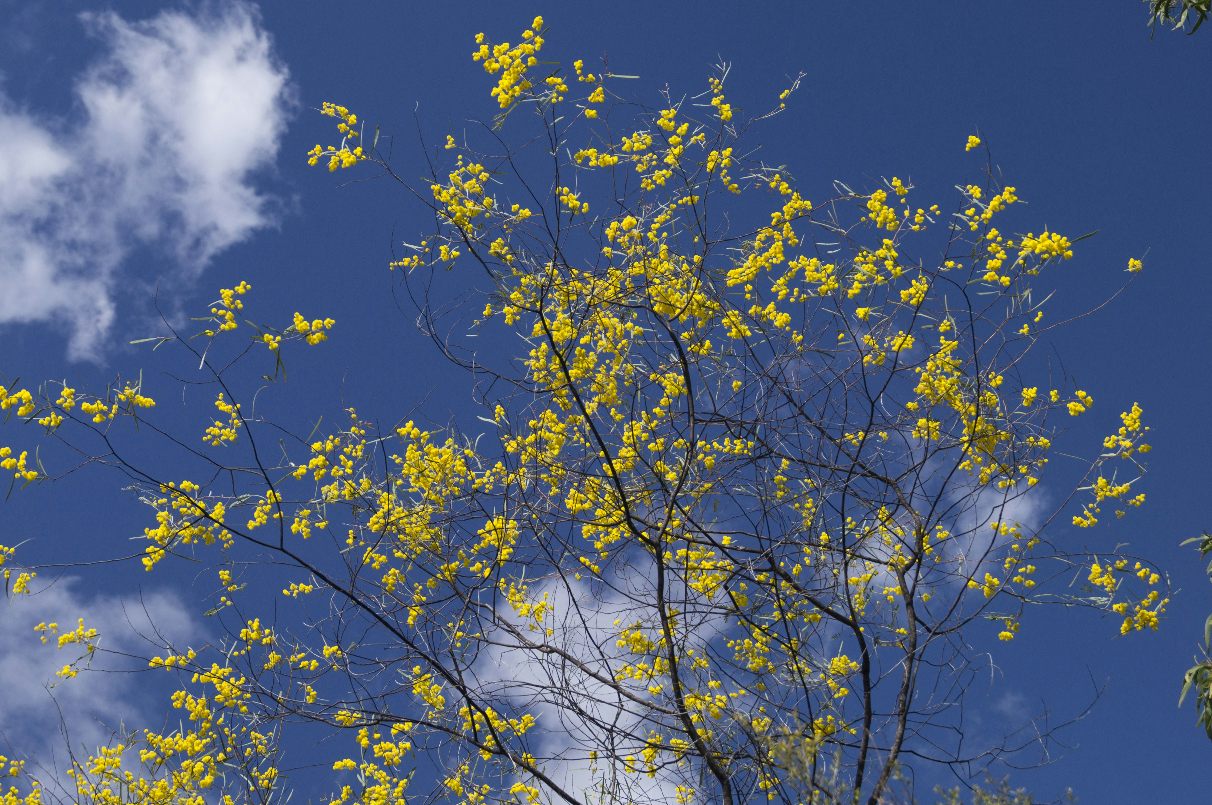 Free Unsplash photo from abstractal