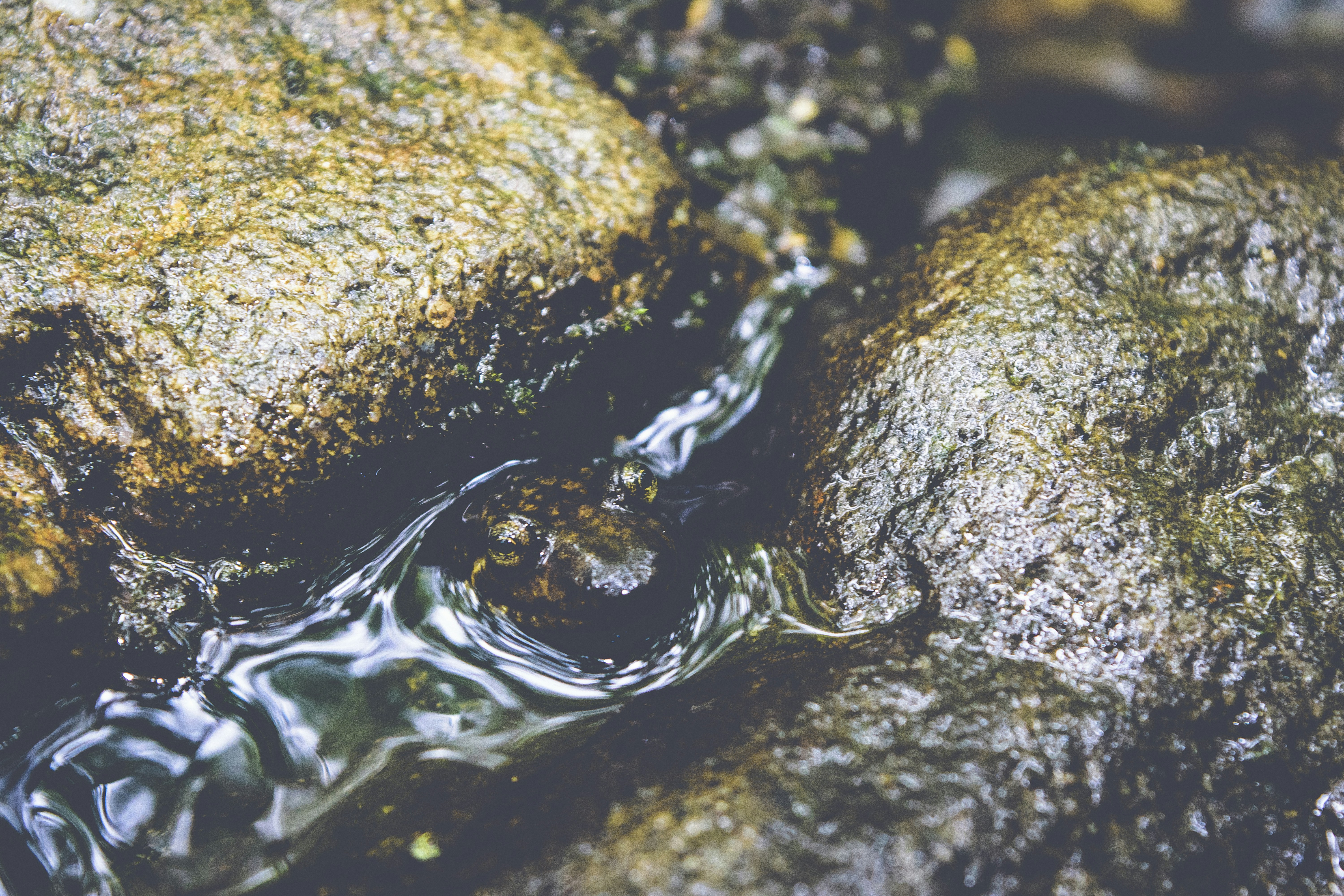 Free Unsplash photo from Dan Becker