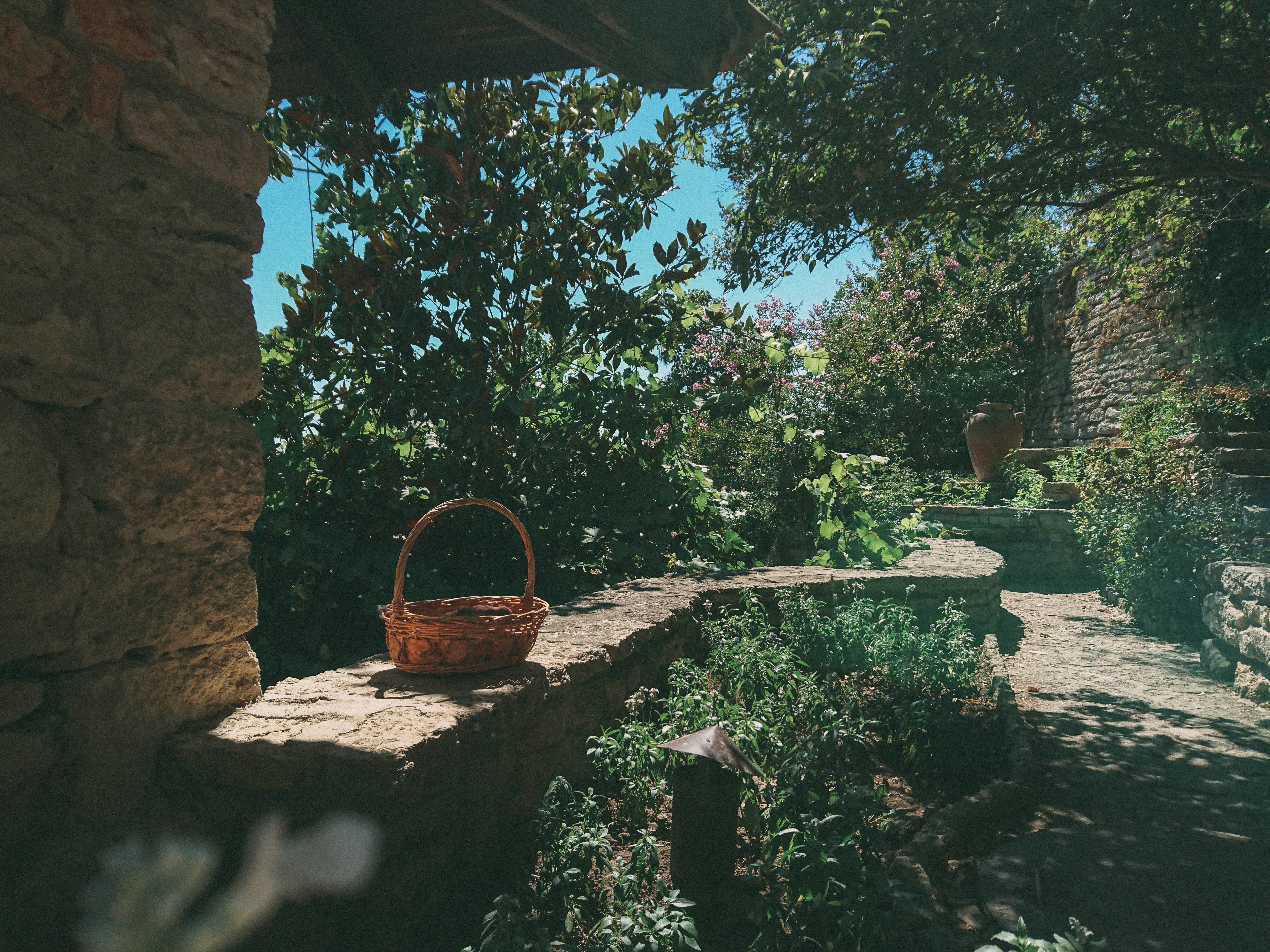 Free Unsplash photo from Eduard Militaru