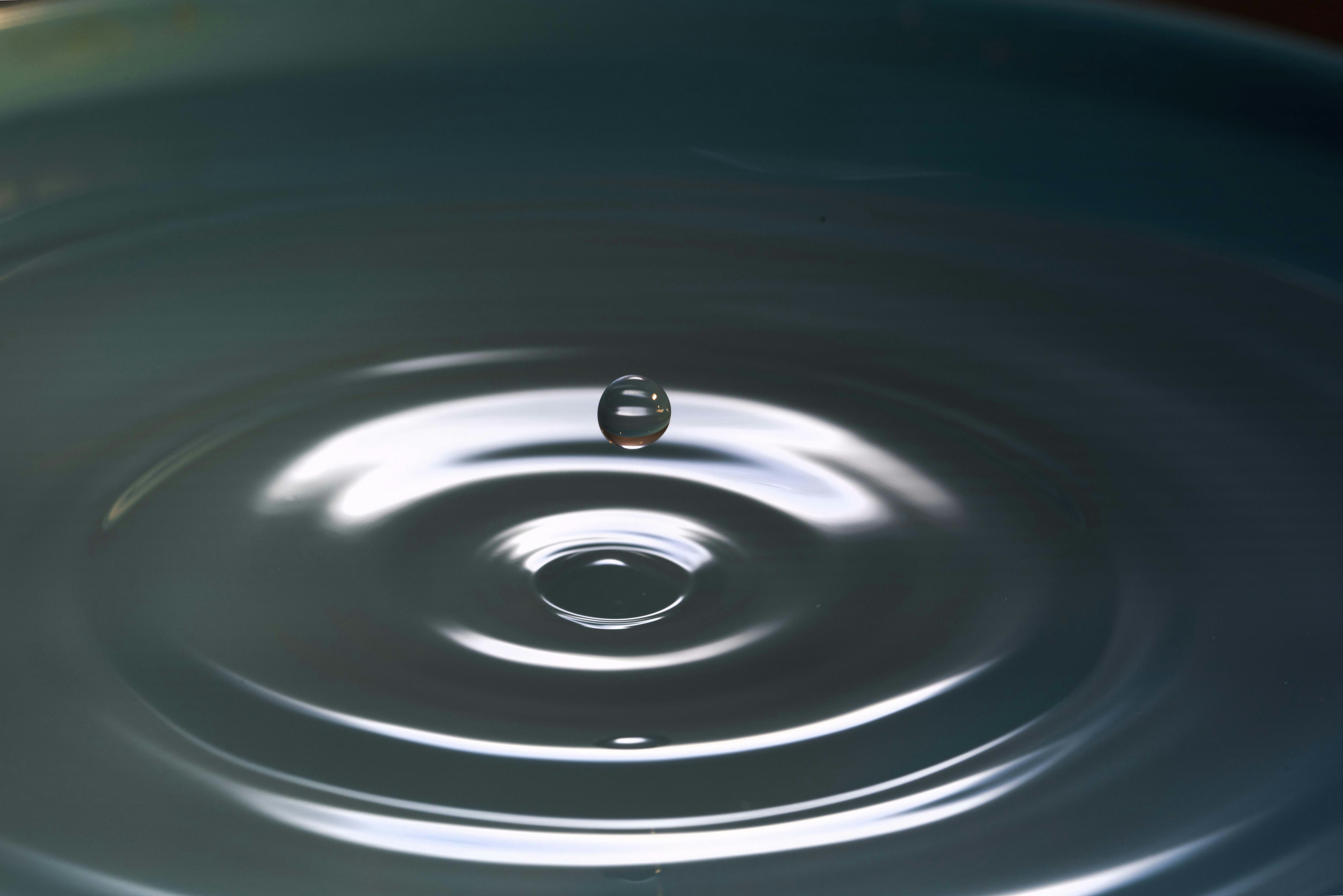 The Role Of Mindfulness In Managing Oxalates