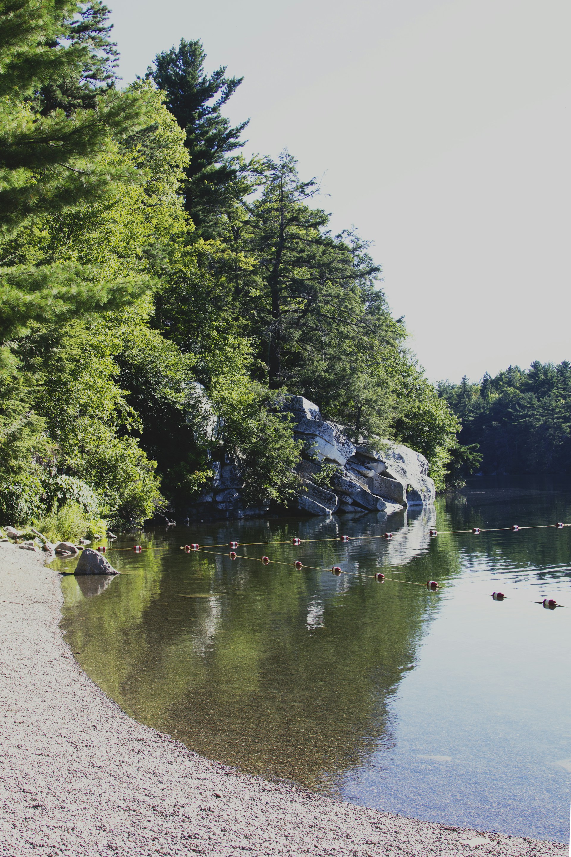 gray computer monitor