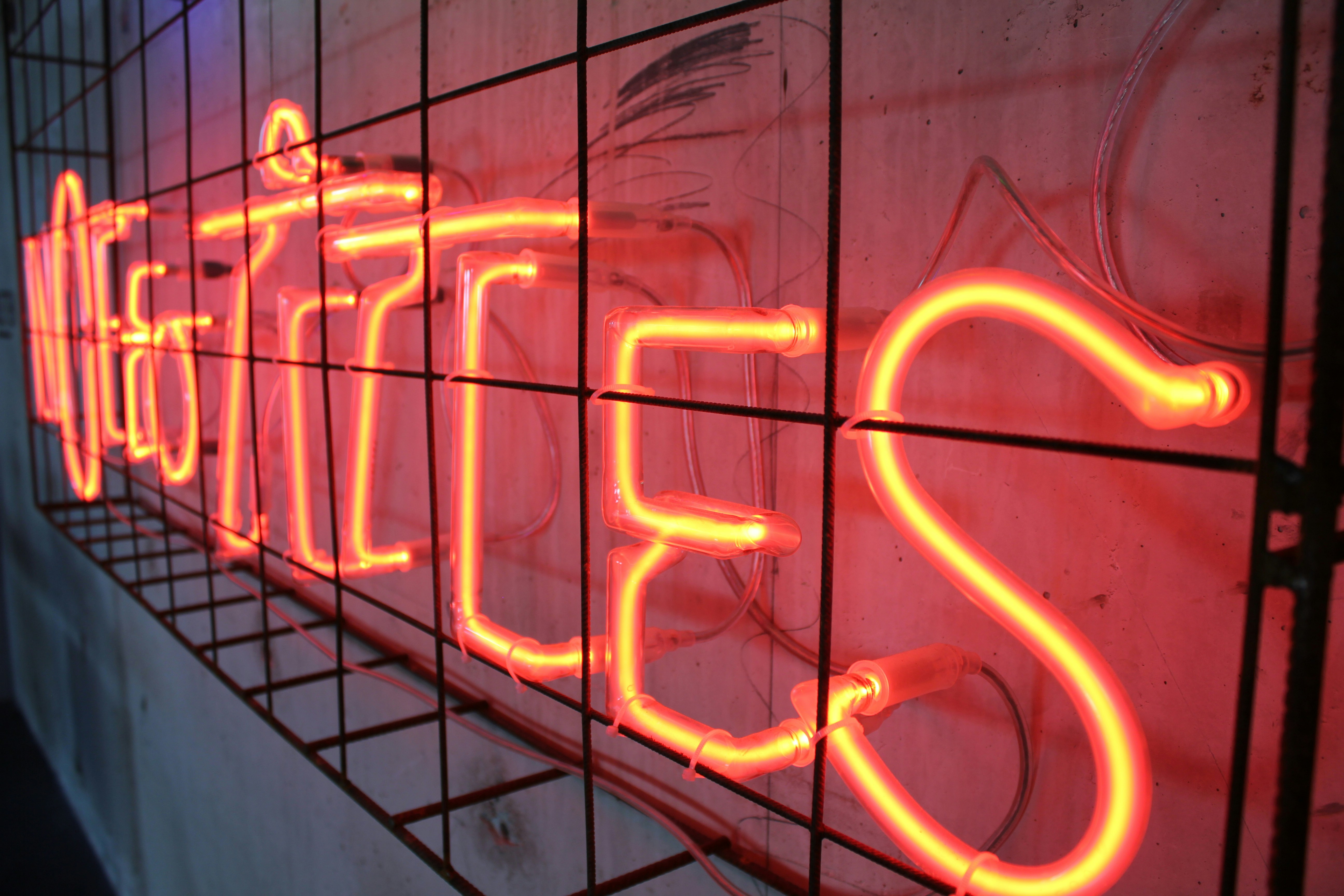 Free Unsplash photo from Jaap van der Voort