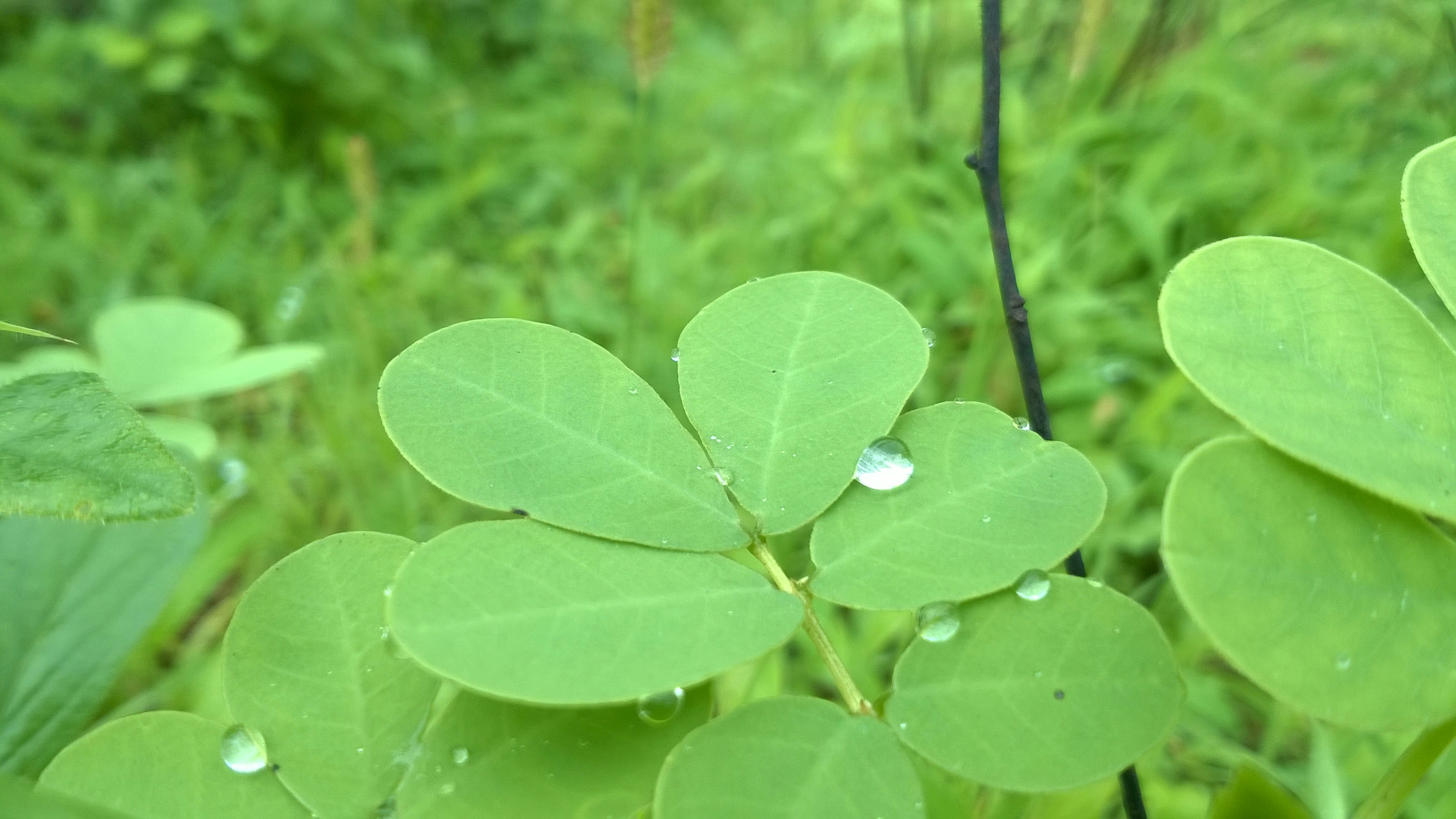 Free Unsplash photo from Sujal Patel