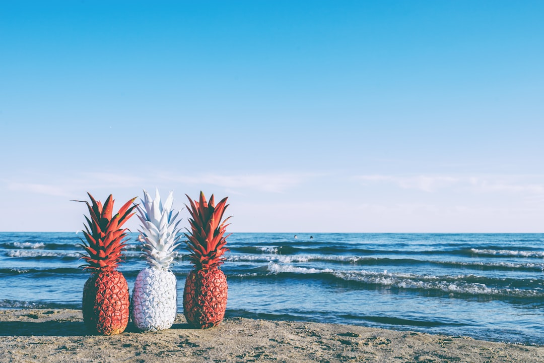 Beach photo spot Port Stanley Beach Lambton Shores