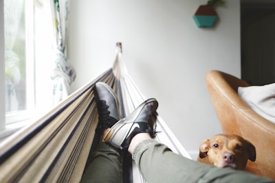 person on hammock chill google meet background