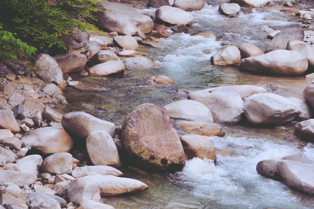 a stream of water surrounded by rocks and trees