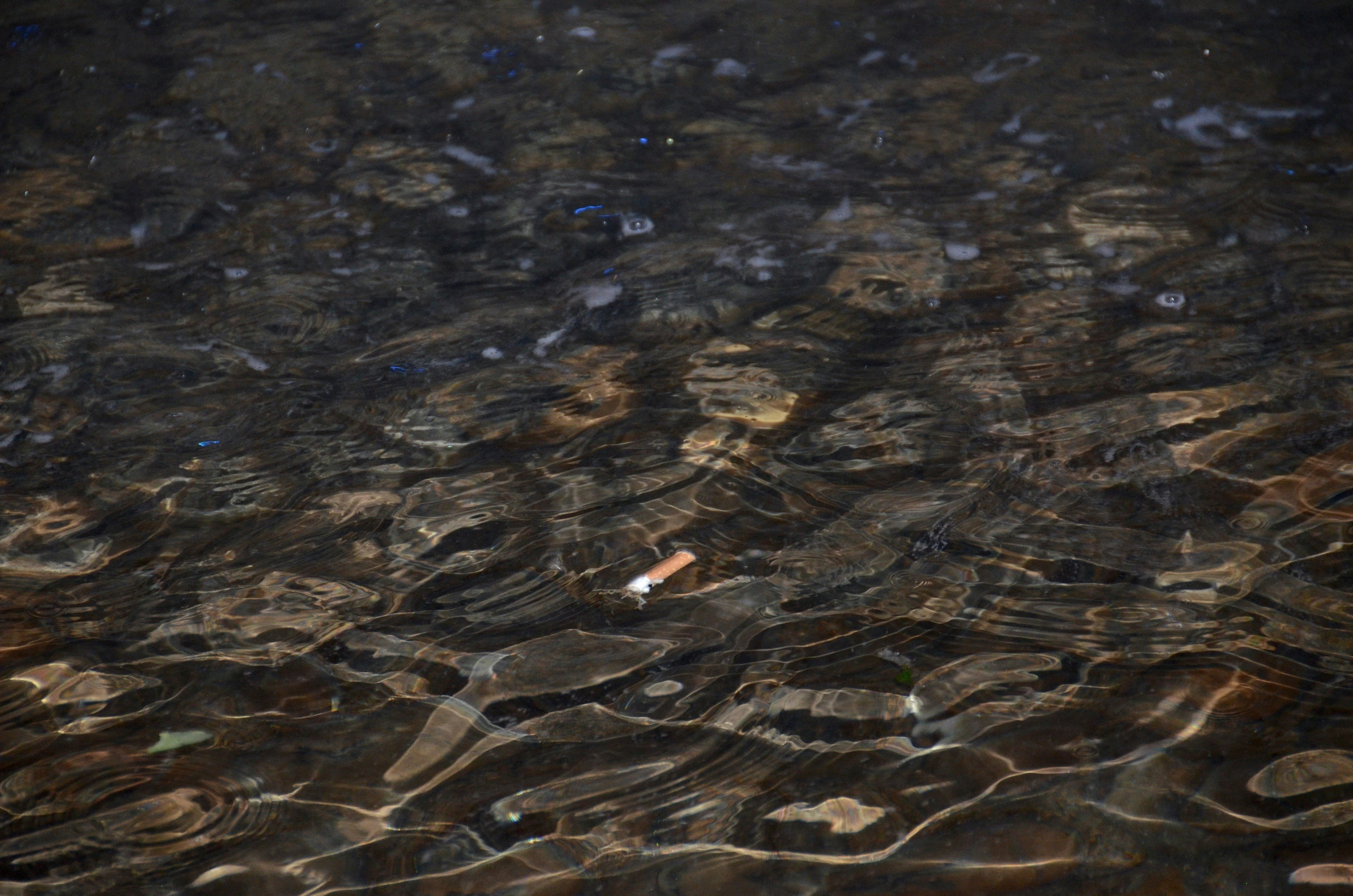 Free Unsplash photo from John-George Sample