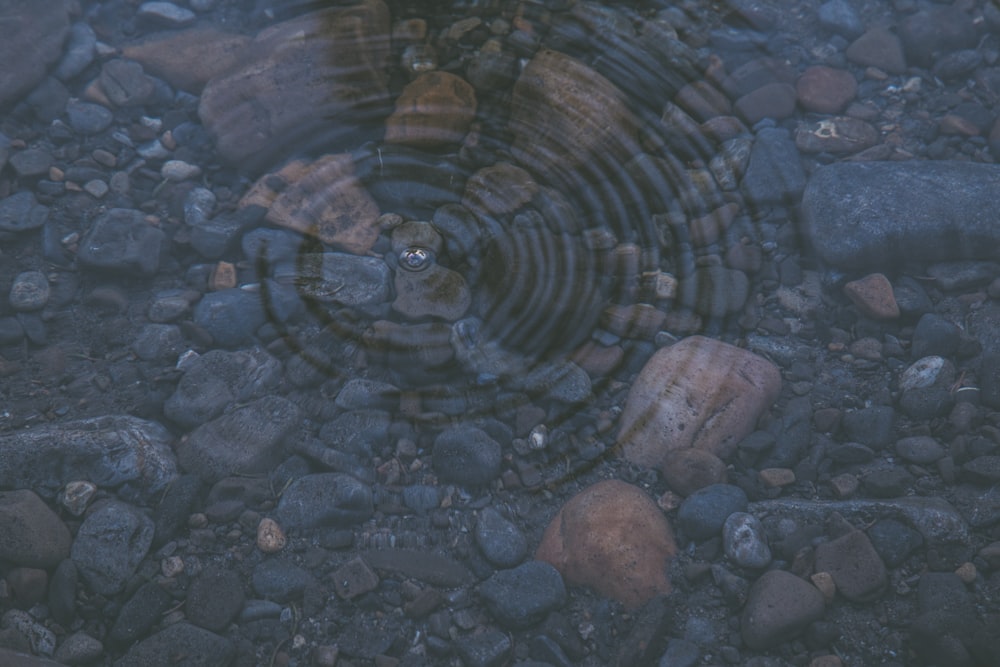 Agua cristalina