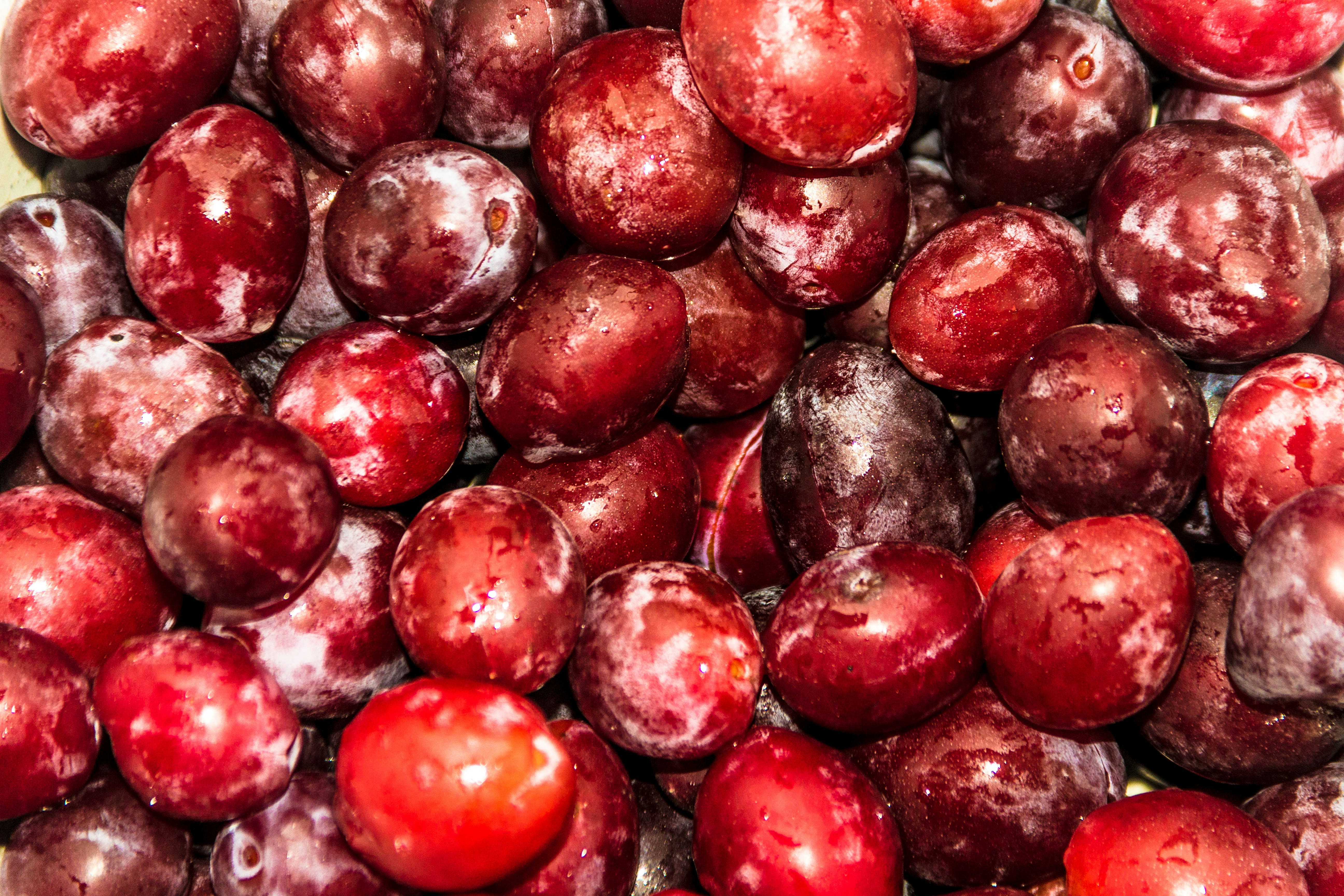 Free Unsplash photo from Дмитрий Зайцев