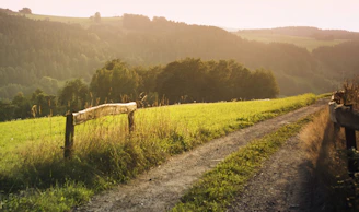 A sunlit path winding through lush green fields with village cottages in the distance.
