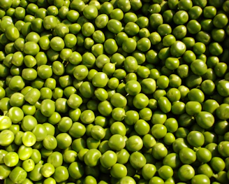 Close-up of vibrant green peas freshly harvested and ready for export.