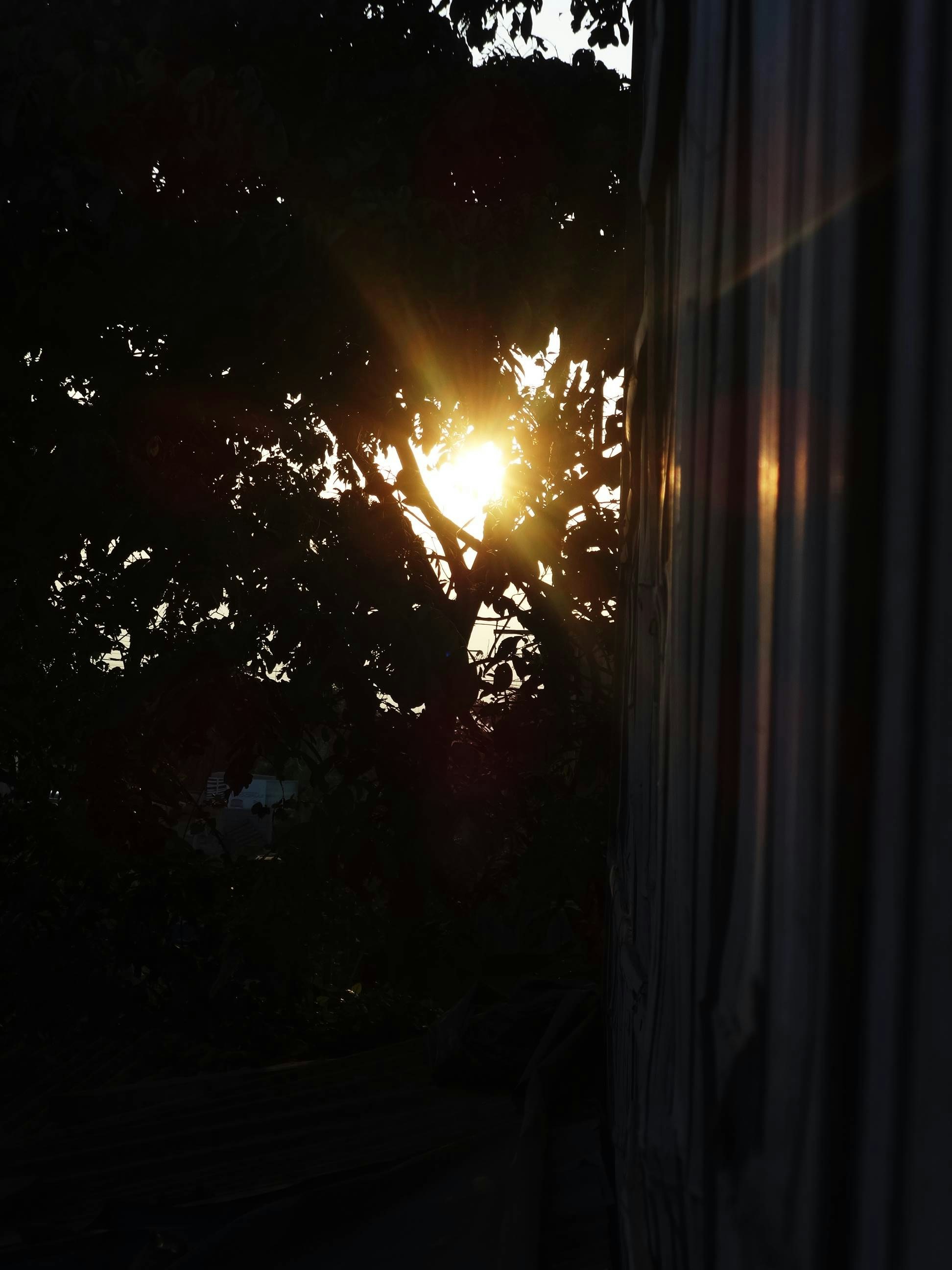 Free Unsplash photo from Emely  Veliz