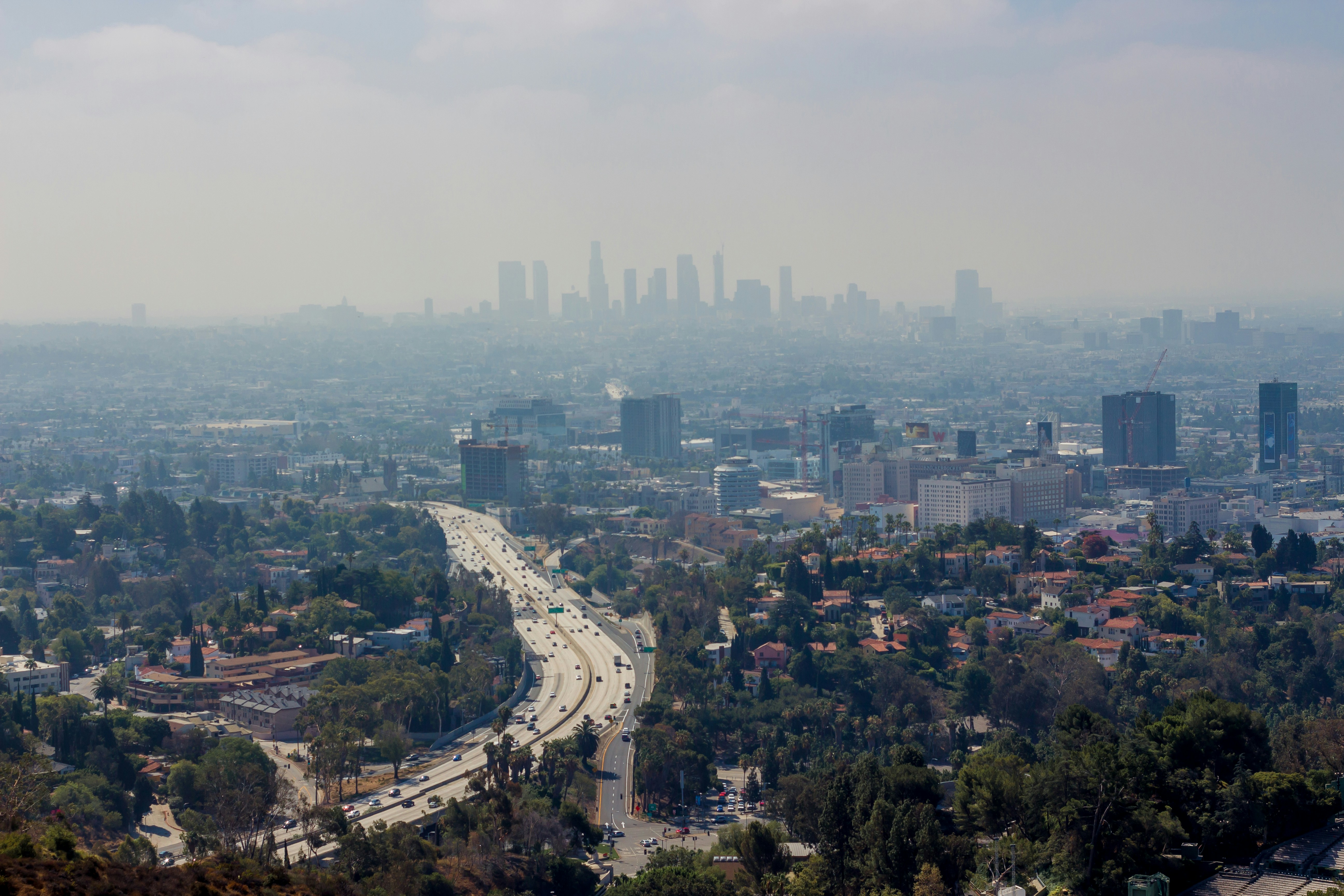 Free Unsplash photo from Maurice Smeets