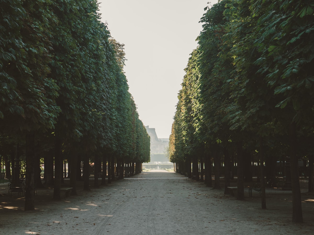Ile-de-France, la foret aux portes de Paris.