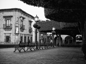 A peaceful plaza with old trees and benches where neighbors gather in Tlalpan