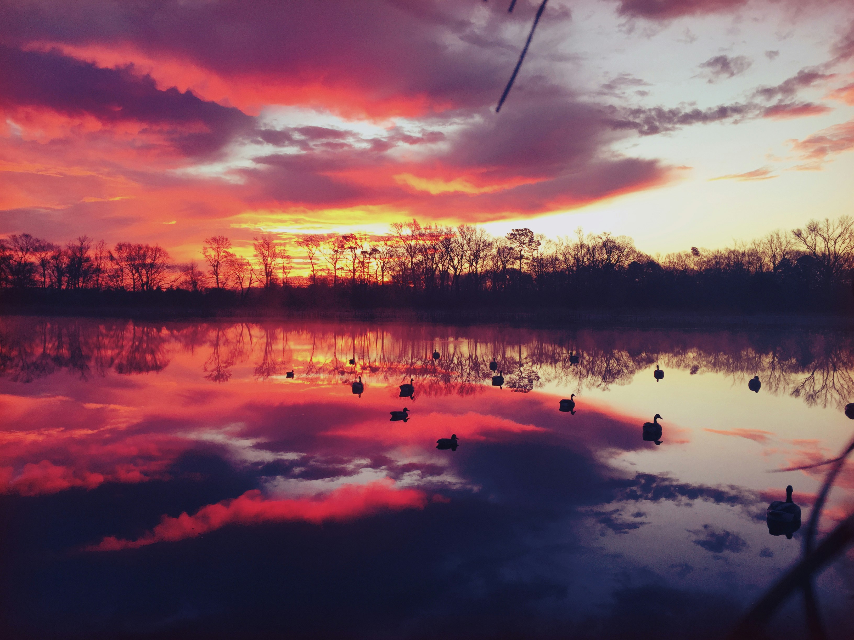 Free Unsplash photo from Jono Hartman