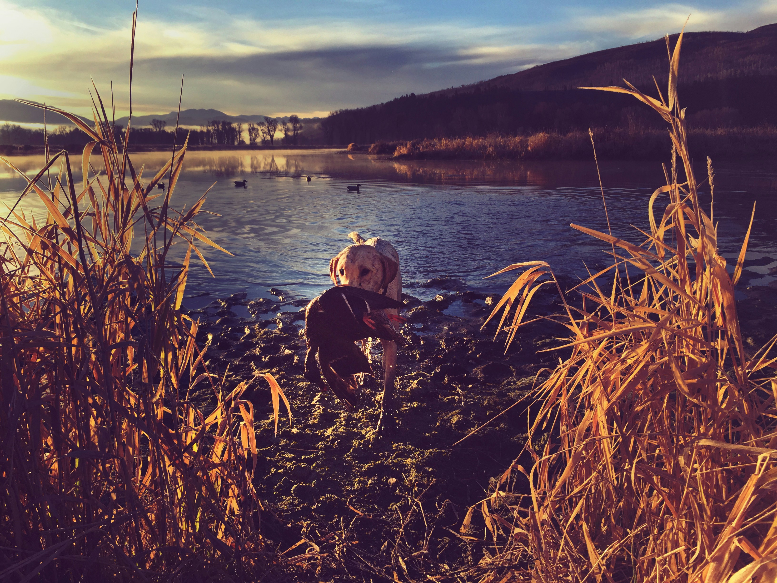 Free Unsplash photo from Jono Hartman