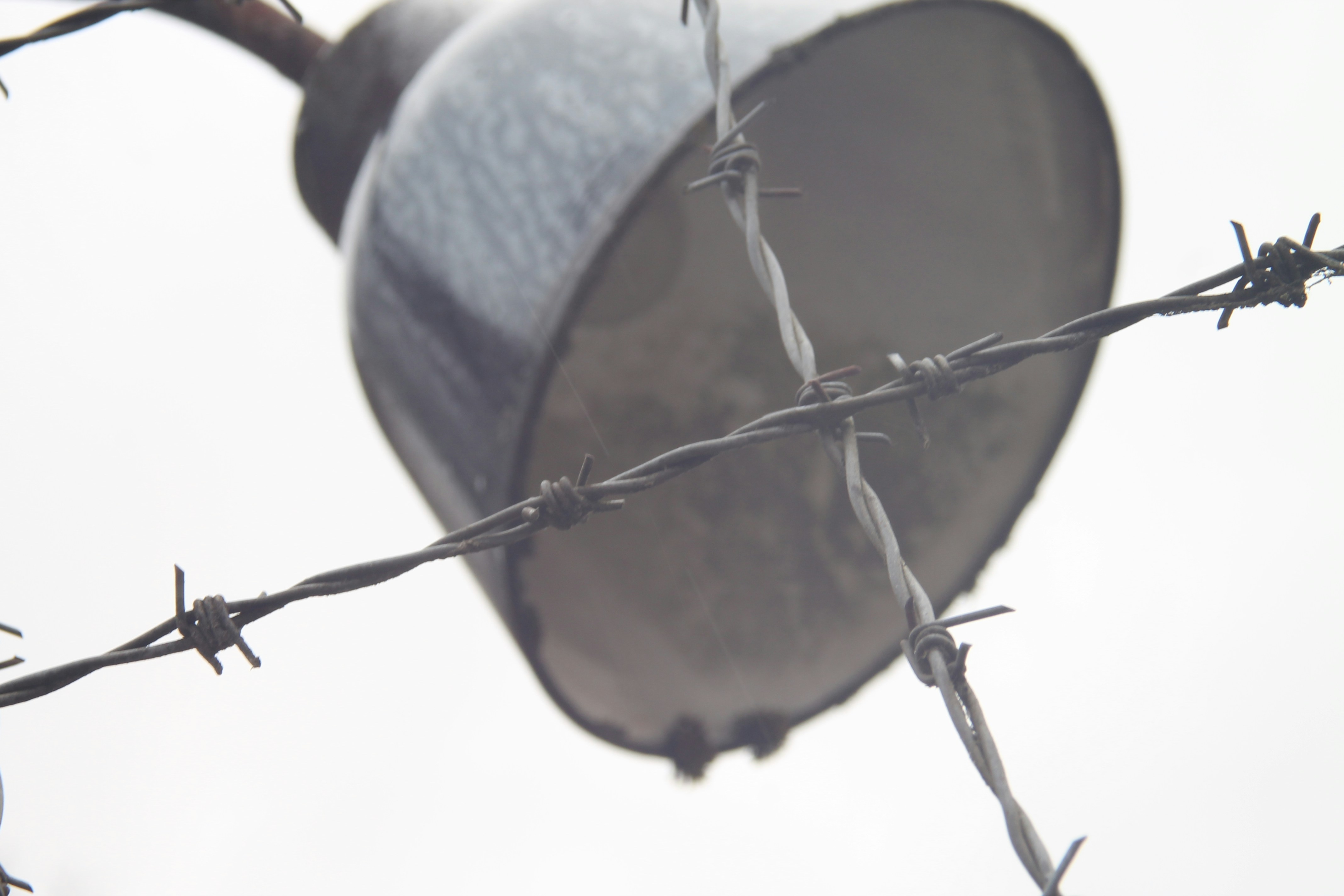 Free Unsplash photo from Julia Canzani