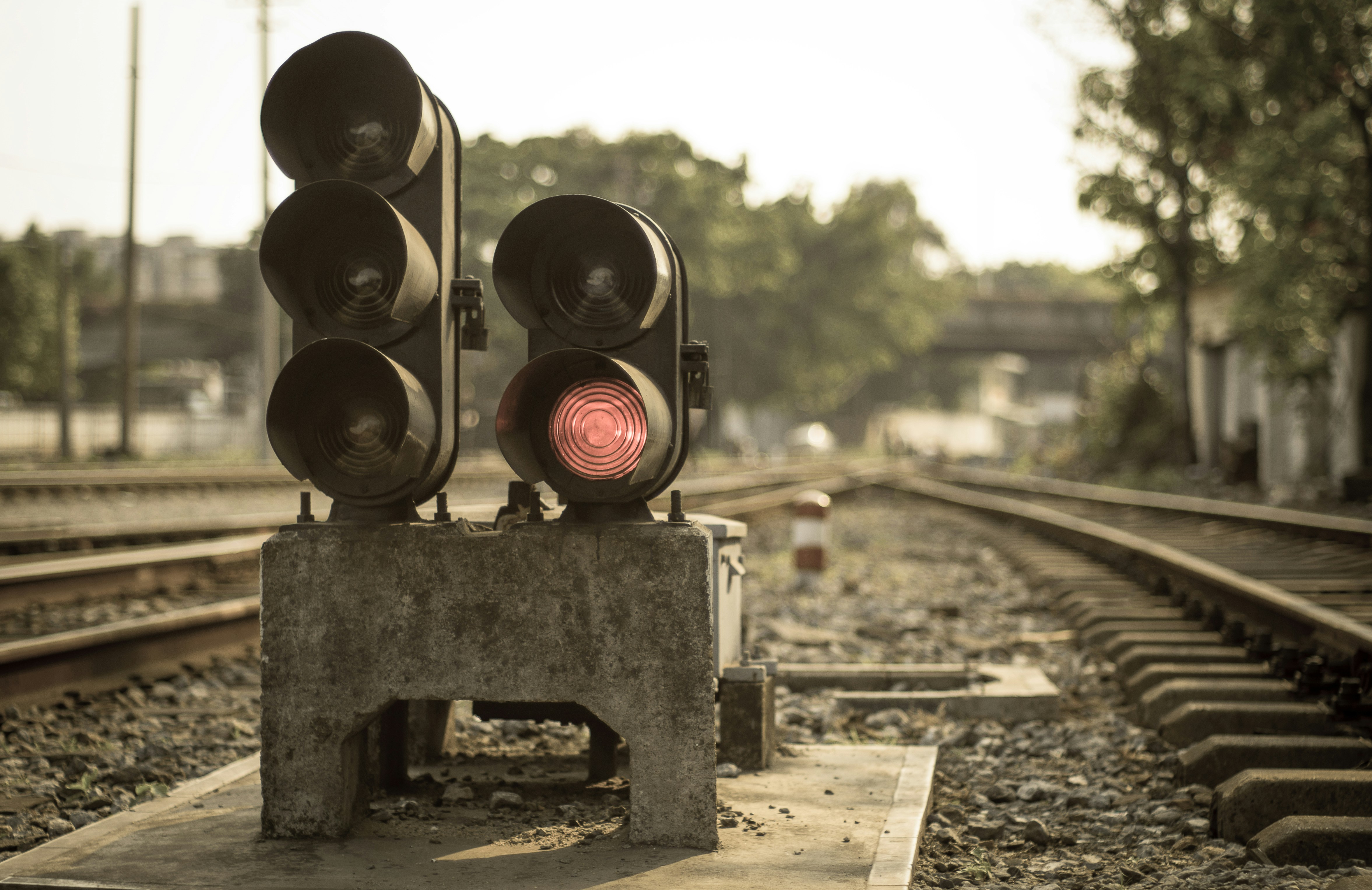 Free Unsplash photo from Koko Curio