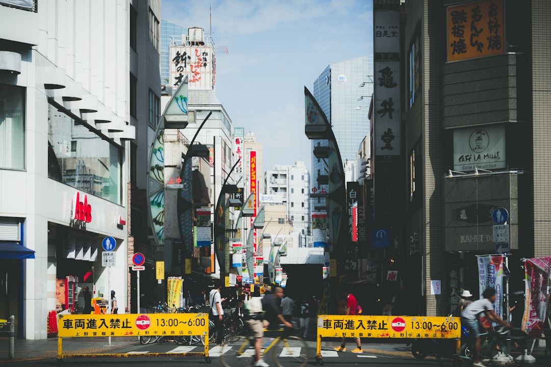 people on street walking in pedestrian at daytime