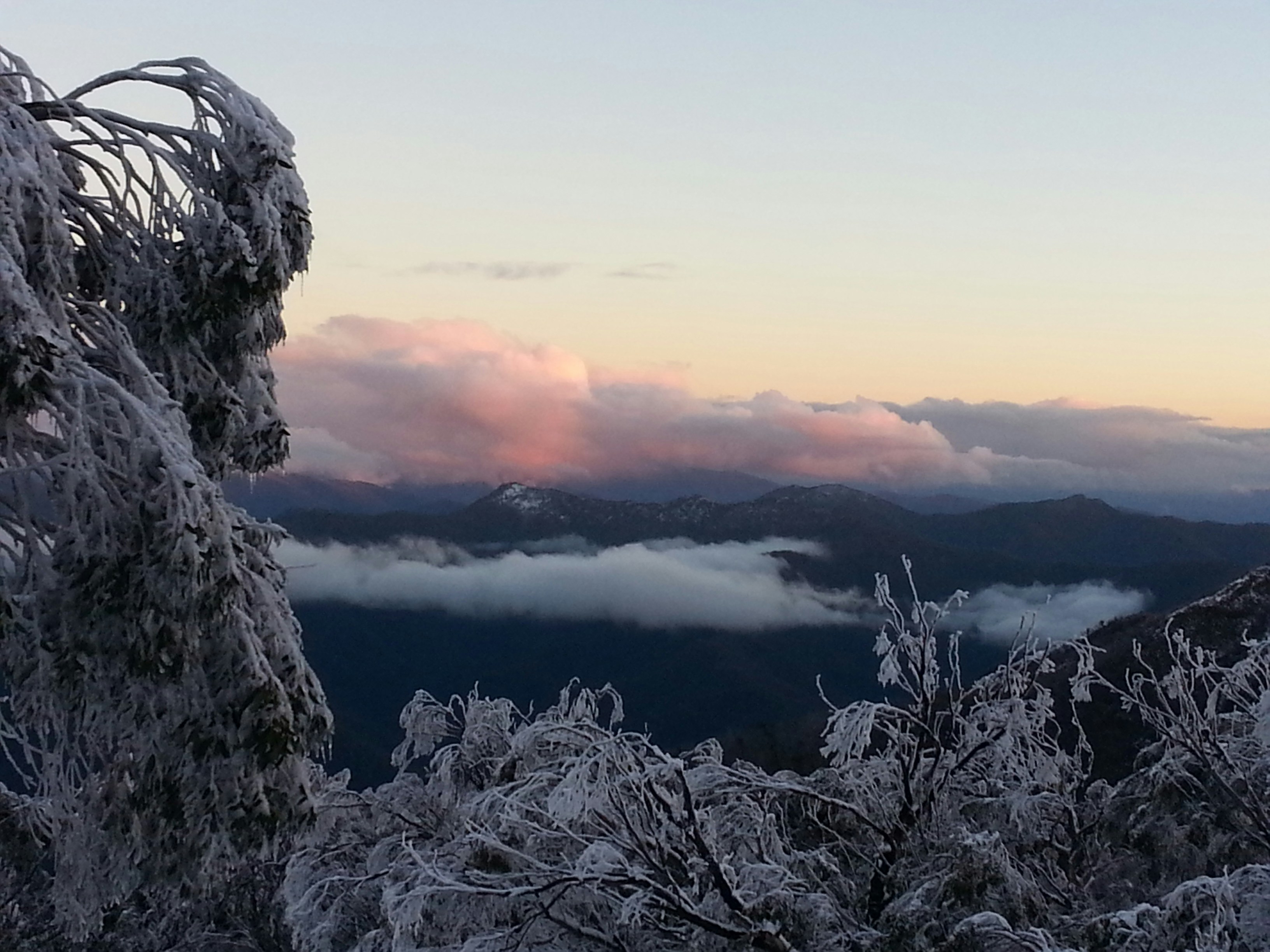 Free Unsplash photo from Richard Brearley