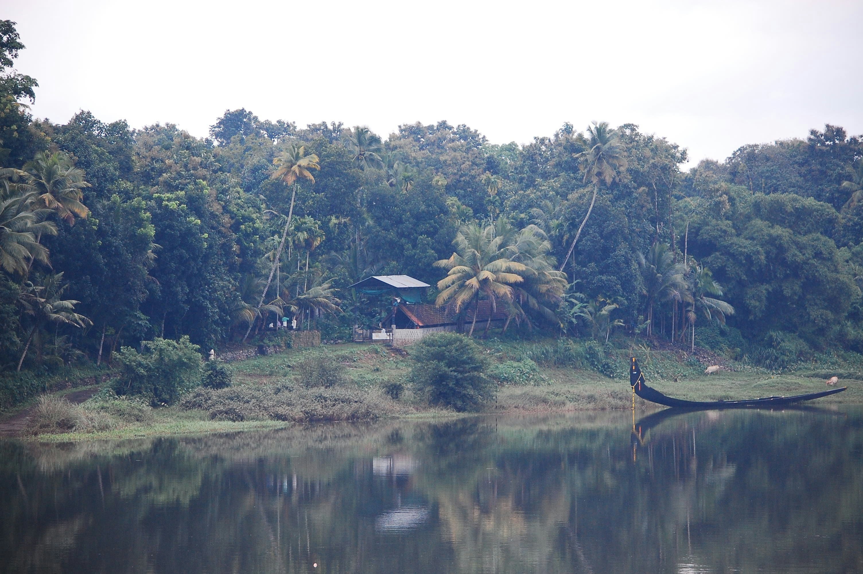 Free Unsplash photo from Anil Govind